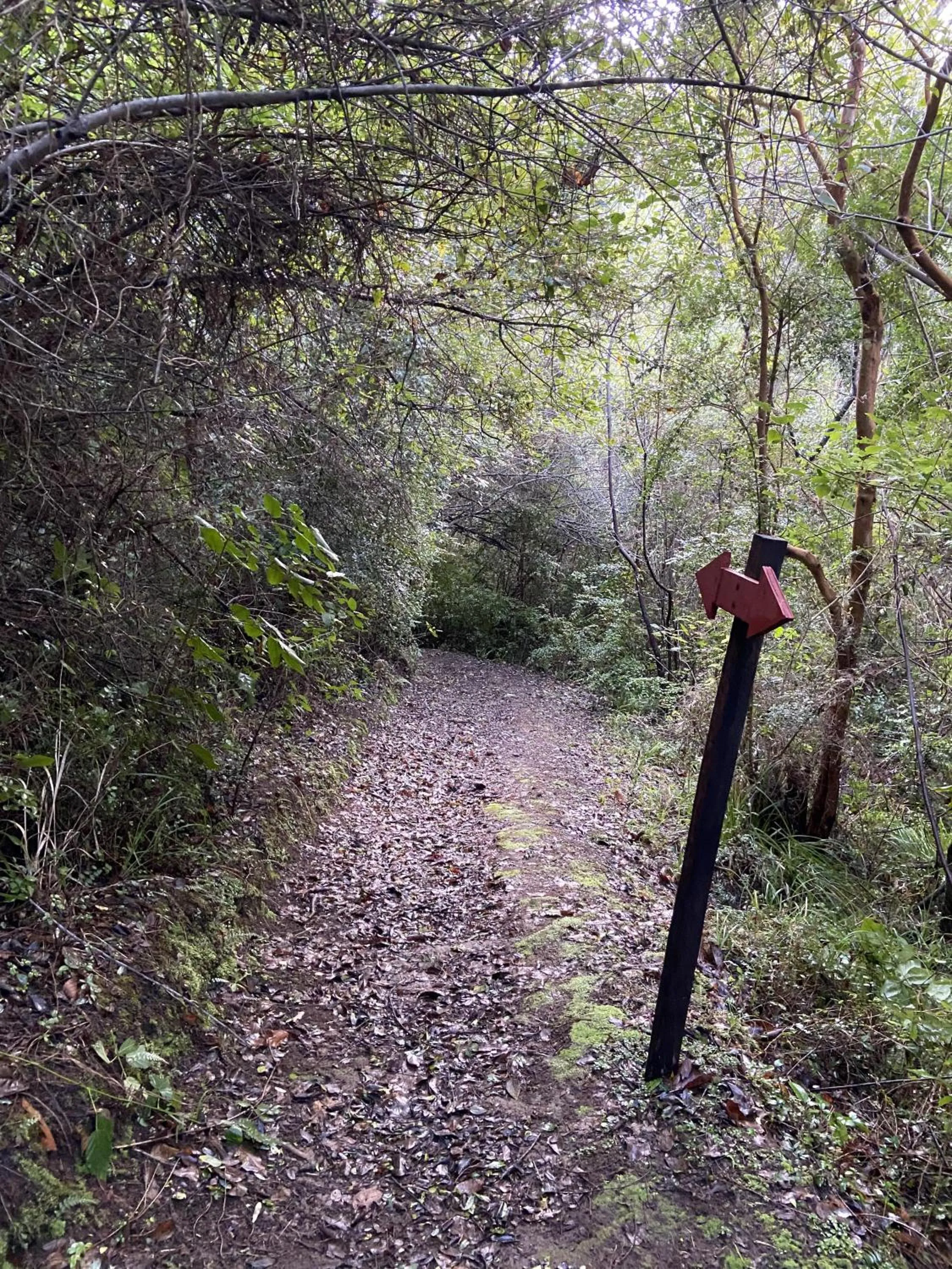 Natural landscape in Hotel Parque Quilquico