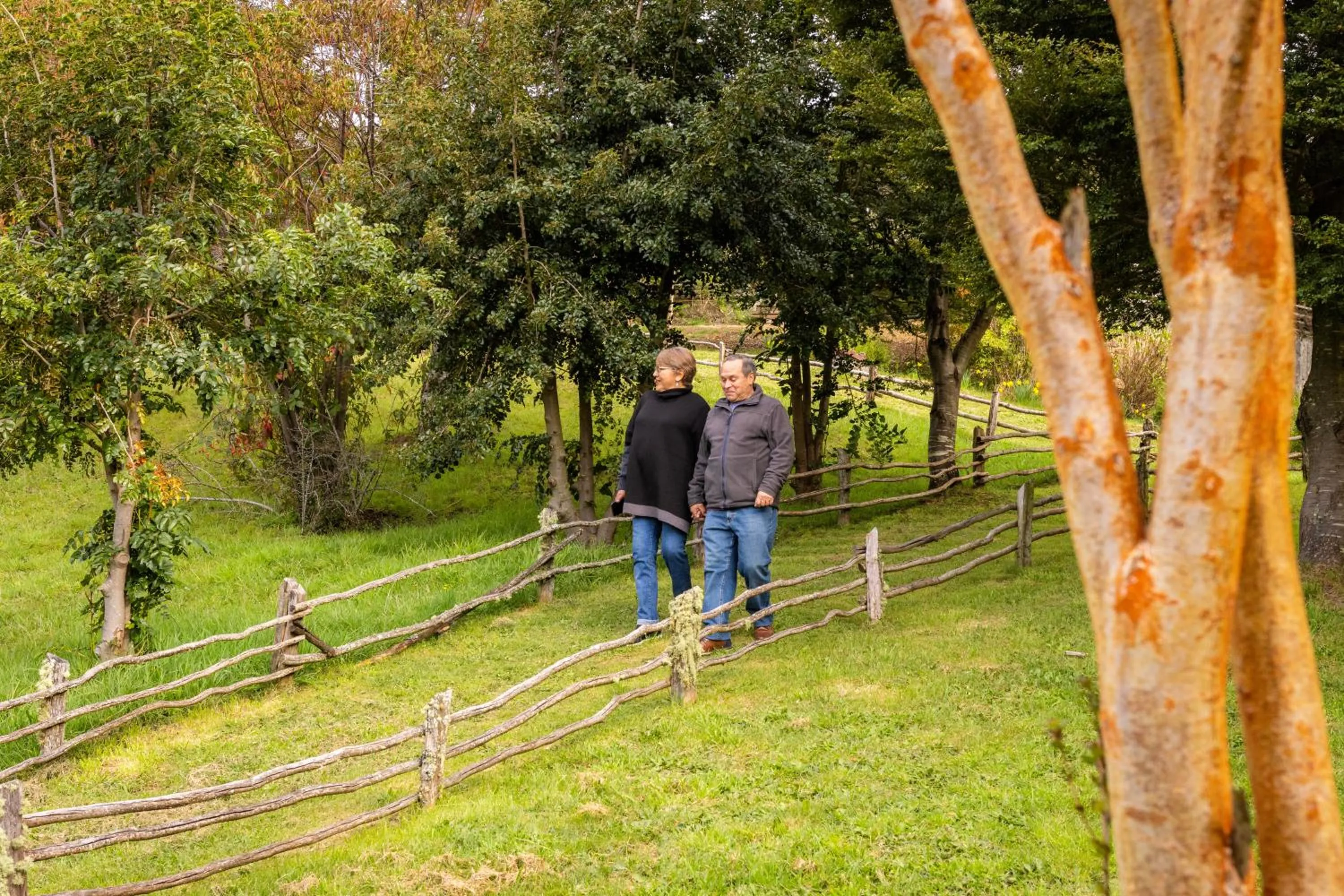 Natural landscape in Hotel Parque Quilquico