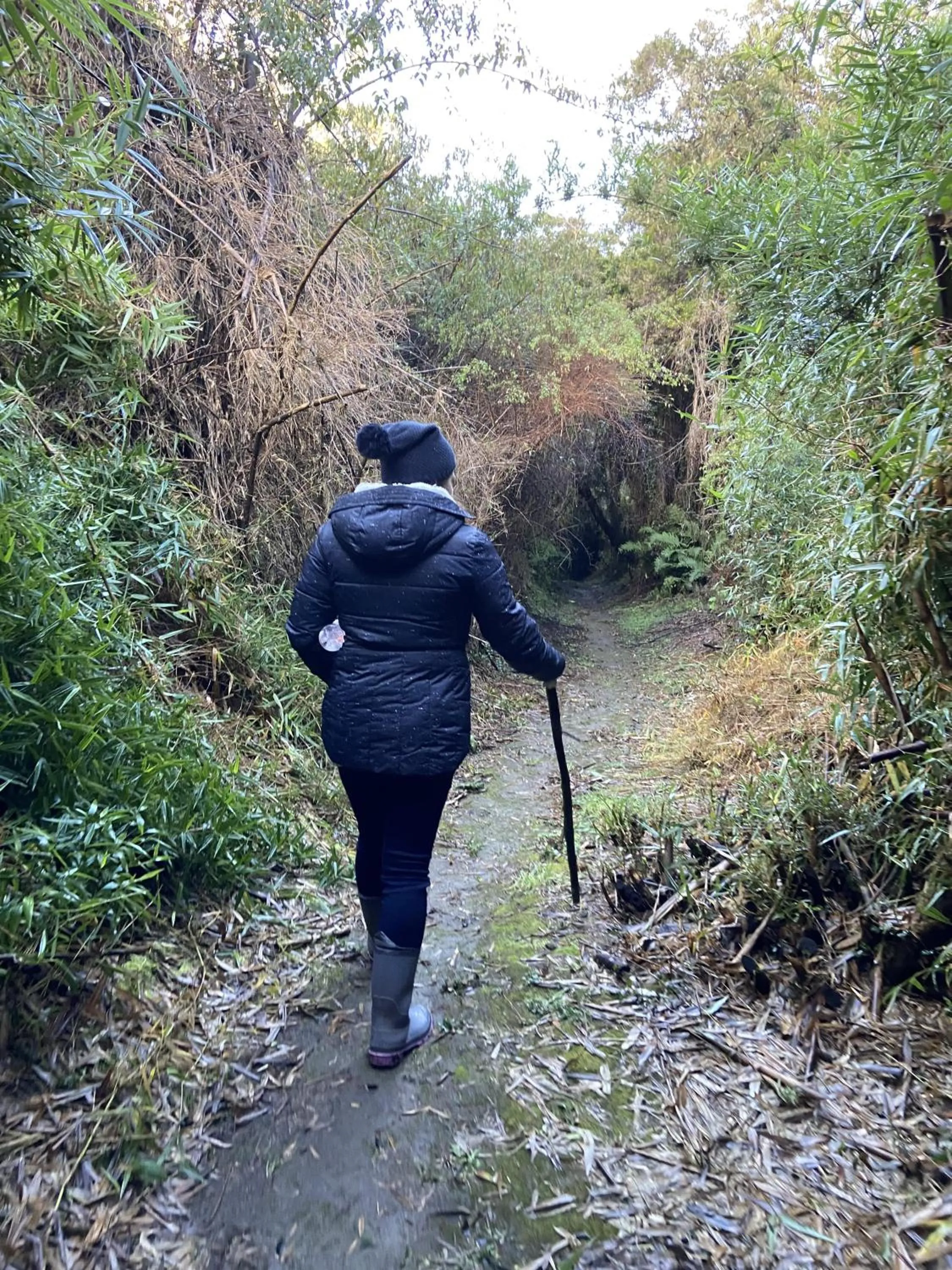Natural landscape in Hotel Parque Quilquico