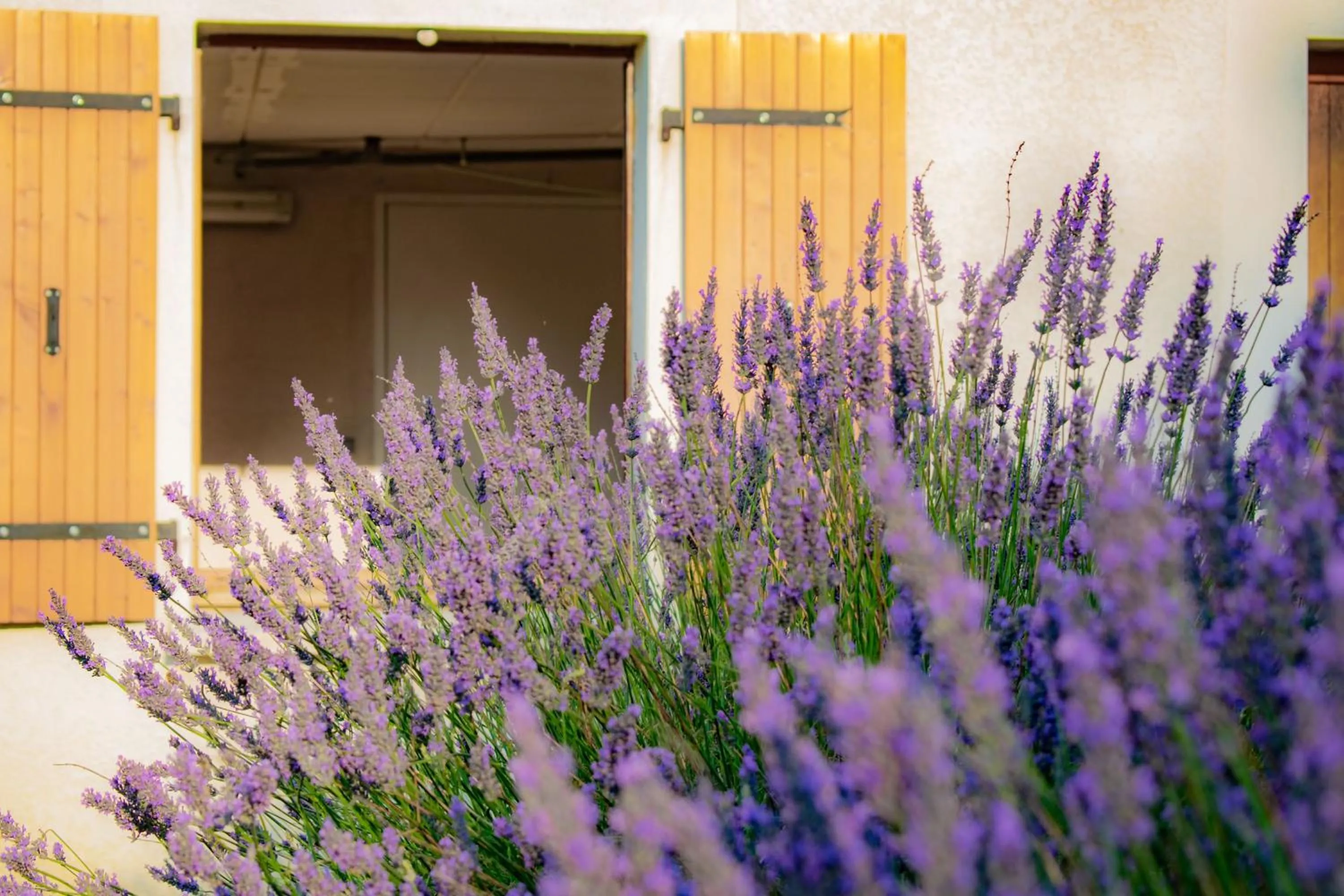 Property building in Chambre d'hôtes Lempery