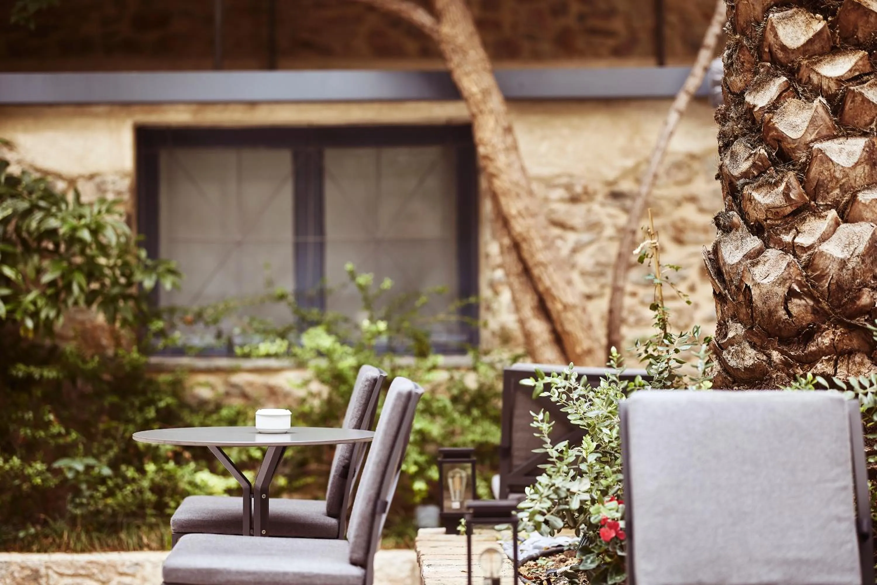 Garden in Bohemian Suites Athens