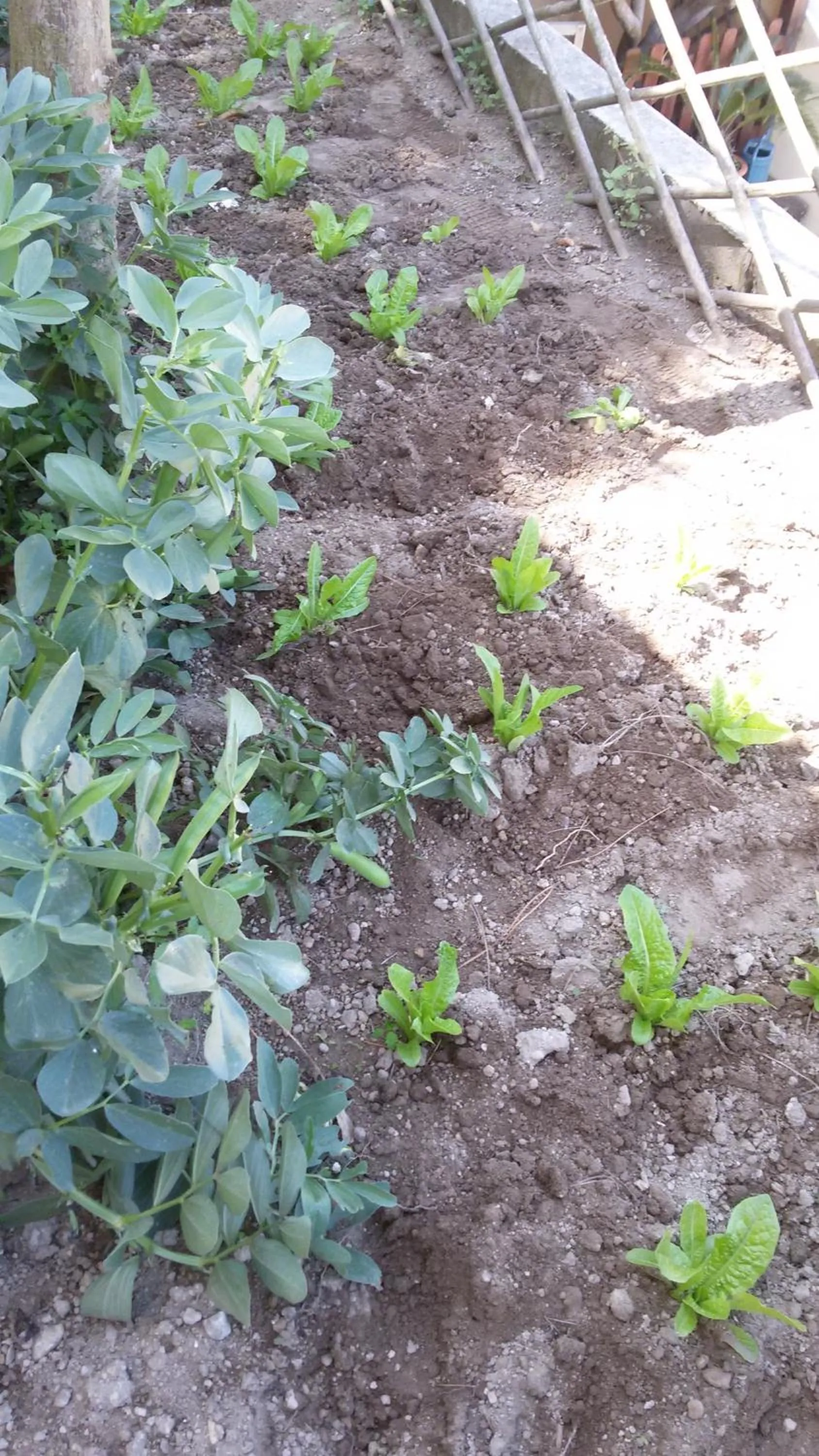 Day in Sweetposeidon