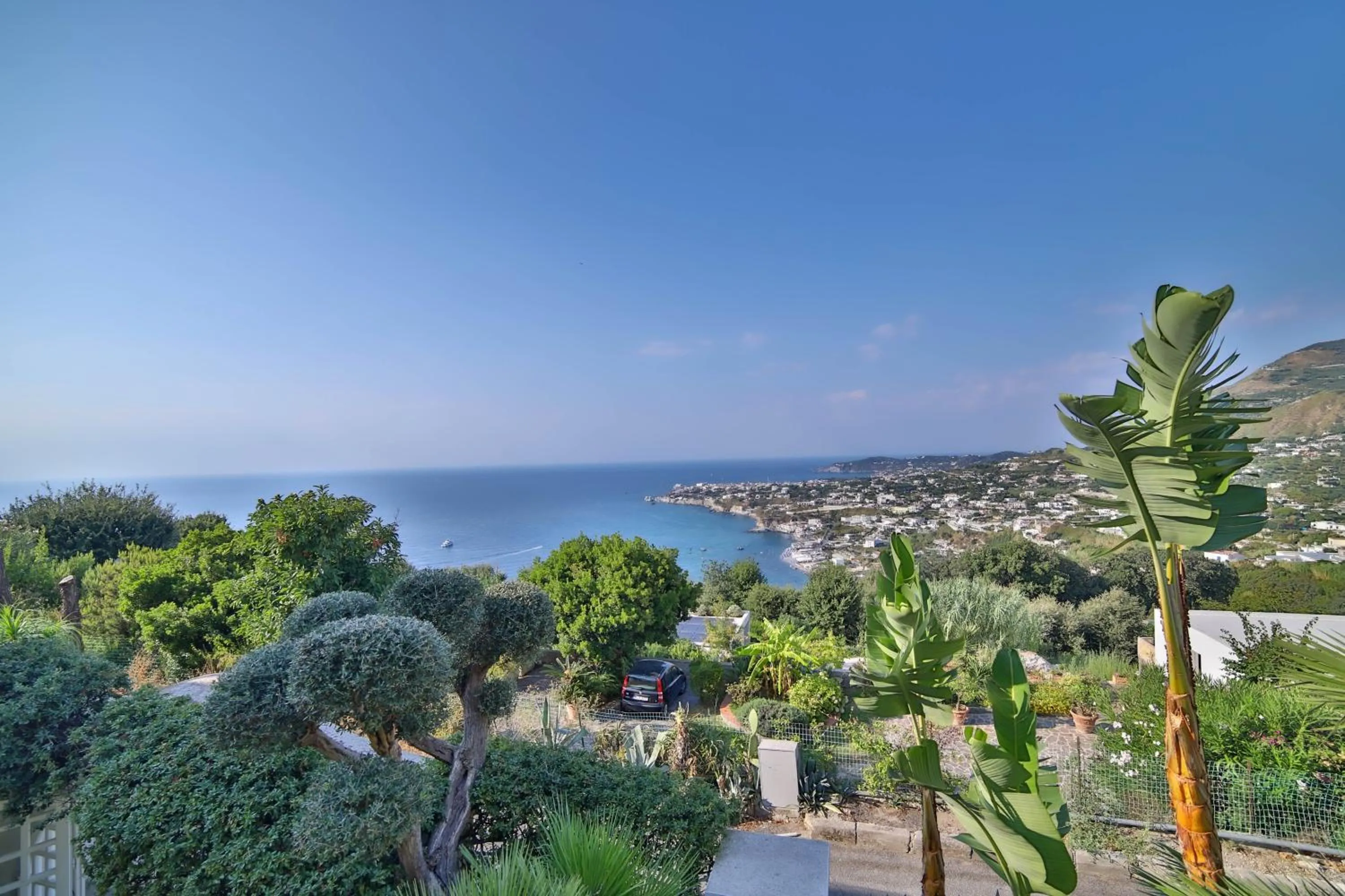 Photo of the whole room in Sweetposeidon