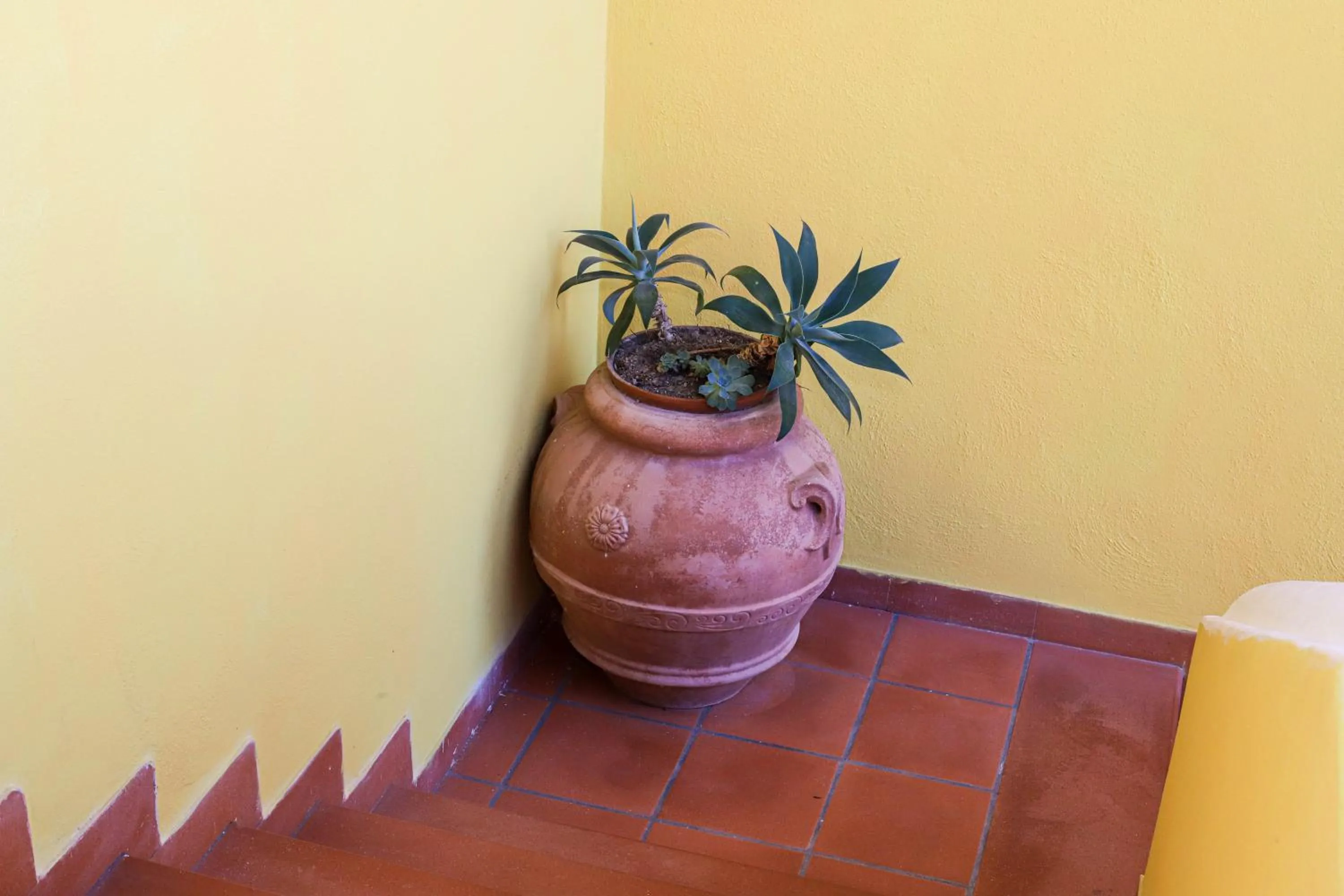 Property building in Sweetposeidon