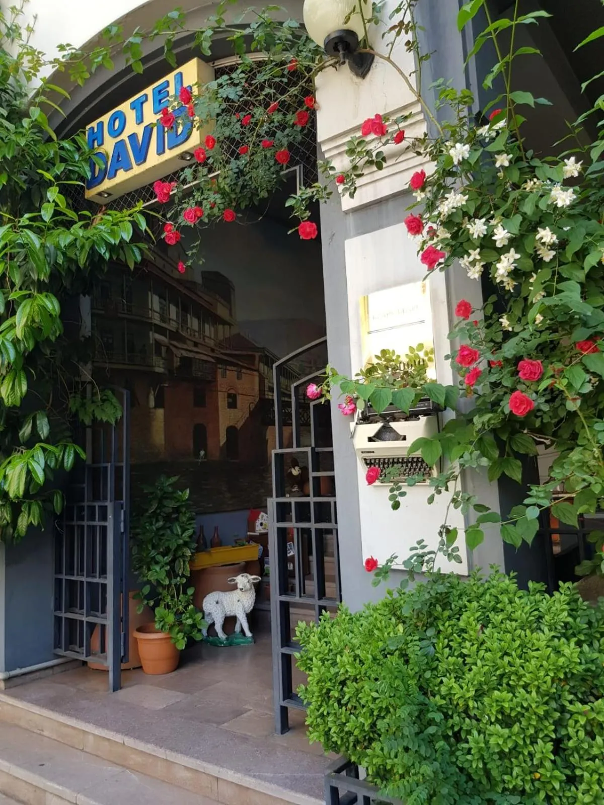 David Hotel - Ethno style