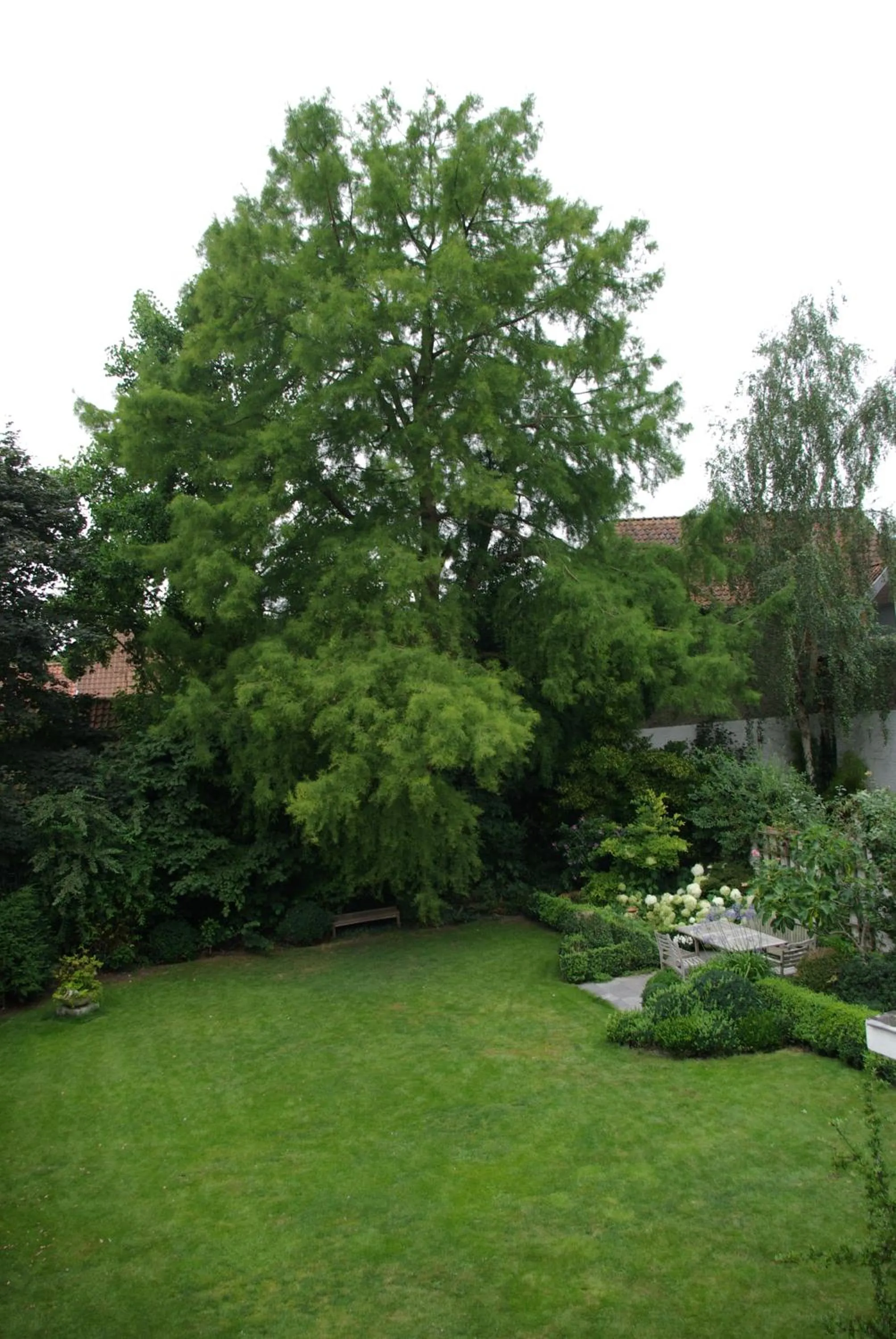 Garden in B&B Huyze Weyne