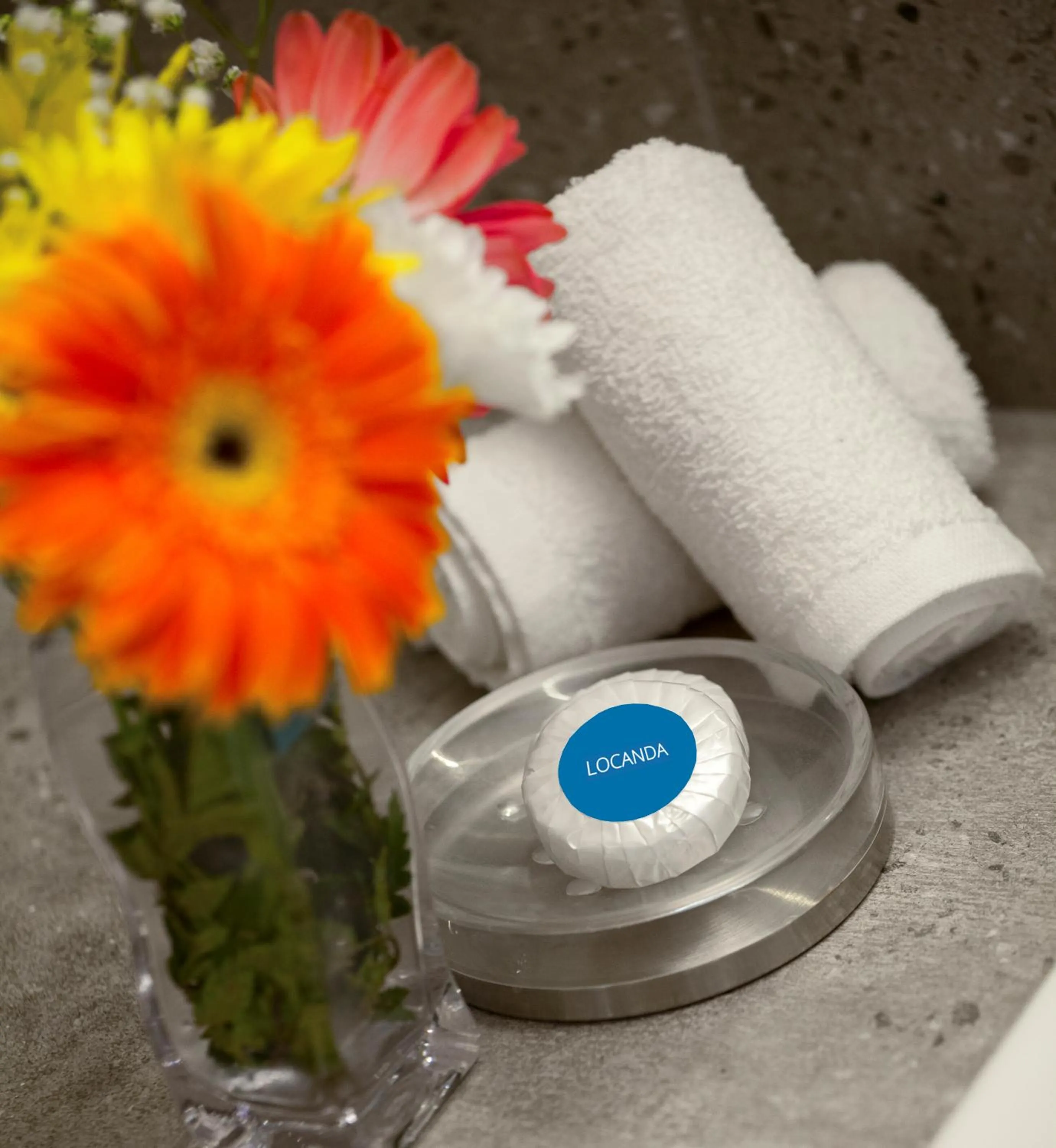 Area and facilities in Locanda Barbati Luxury ApartHotel