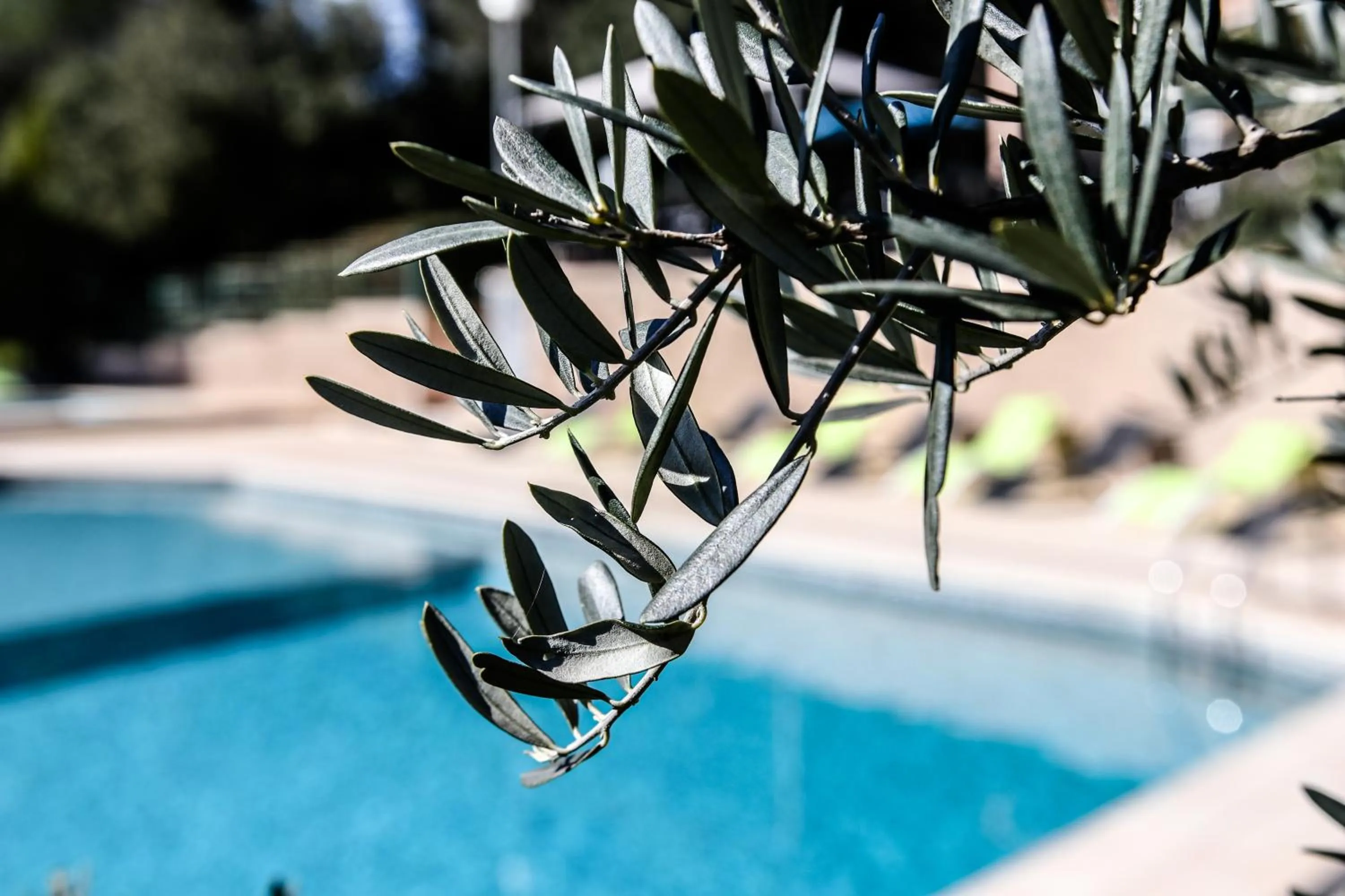 Swimming pool in Les Arbousiers Village Hôtel Provençal