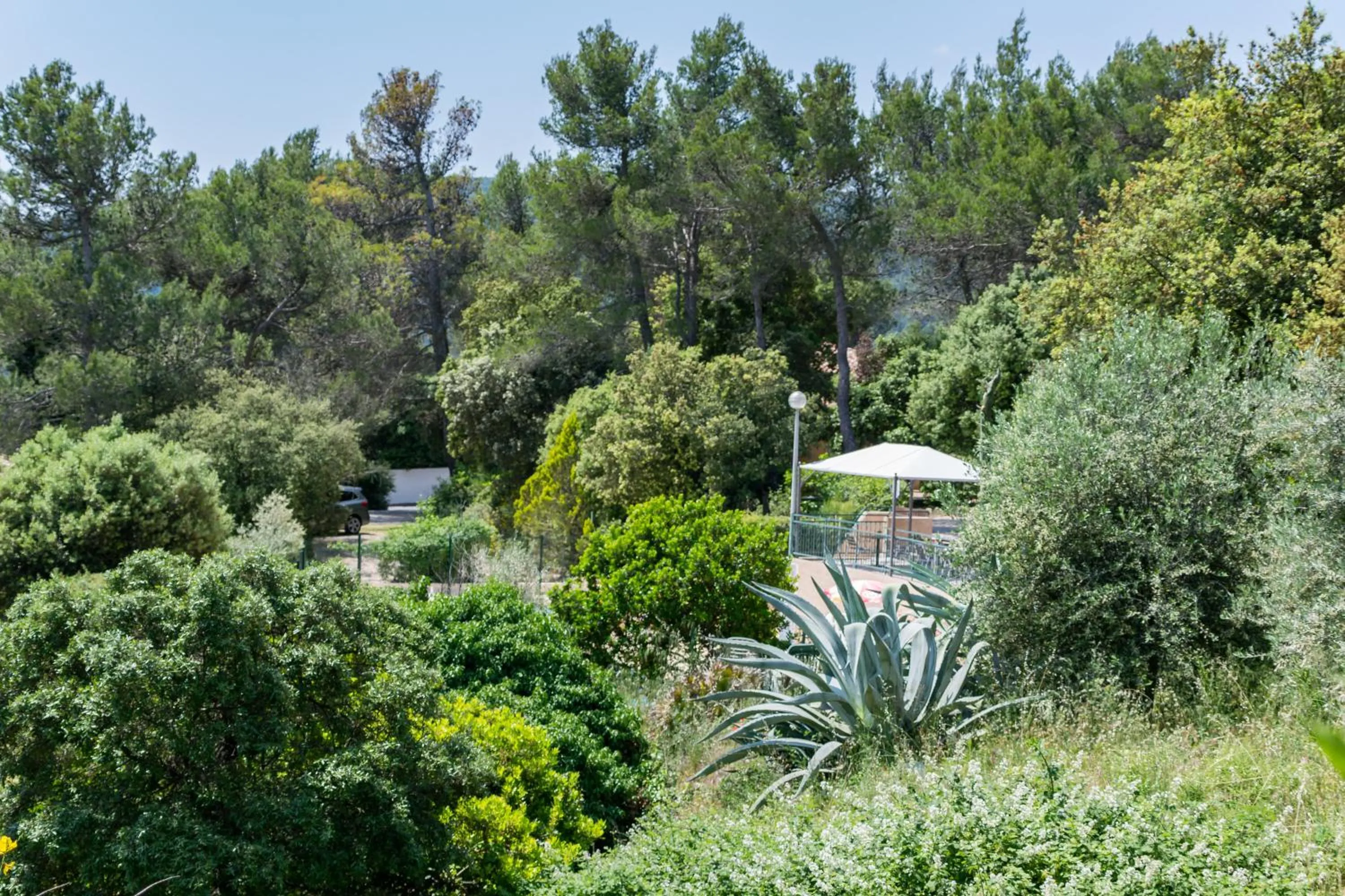 Natural landscape in Les Arbousiers Village Hôtel Provençal