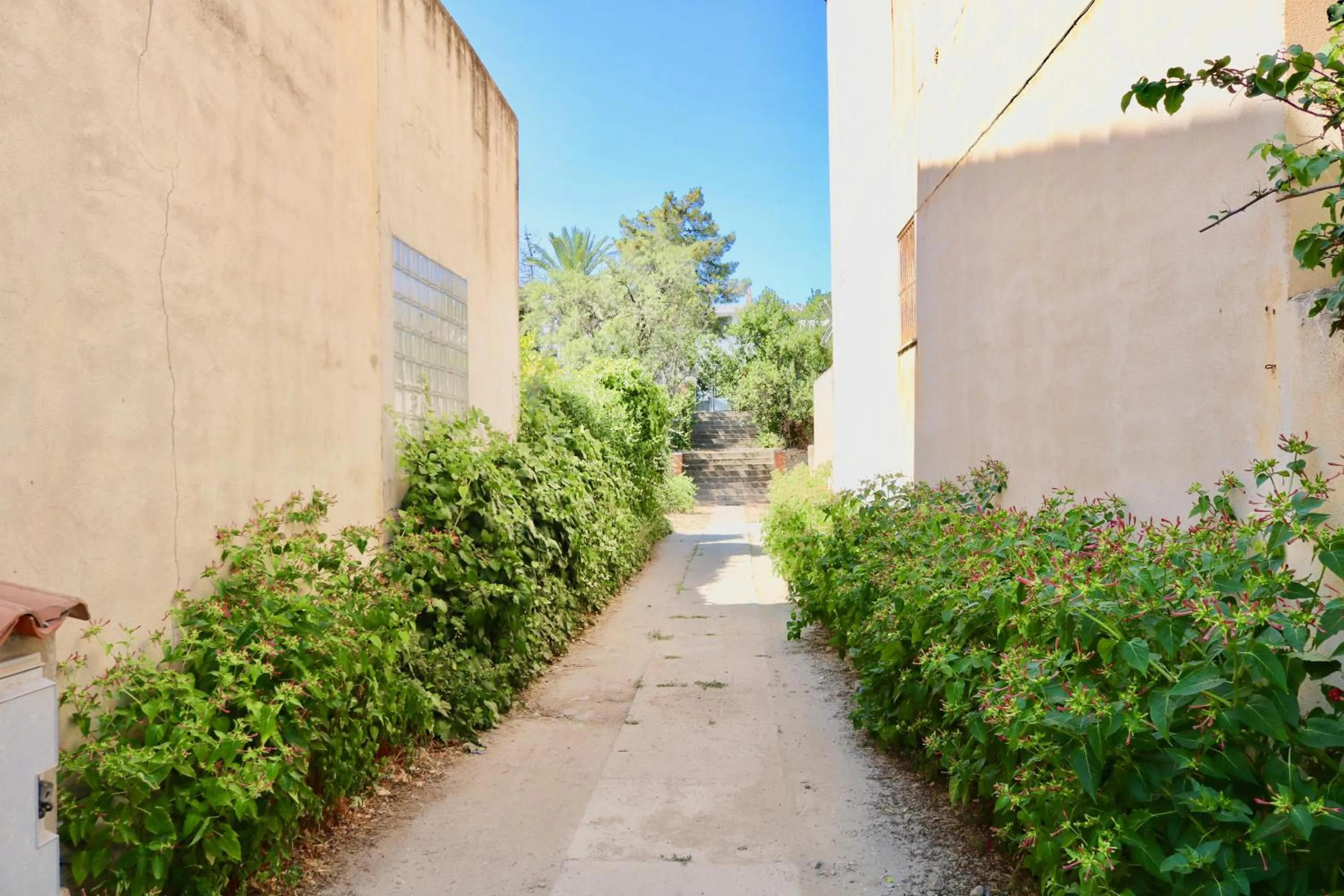 Garden in Il Profumo Di Ginestre