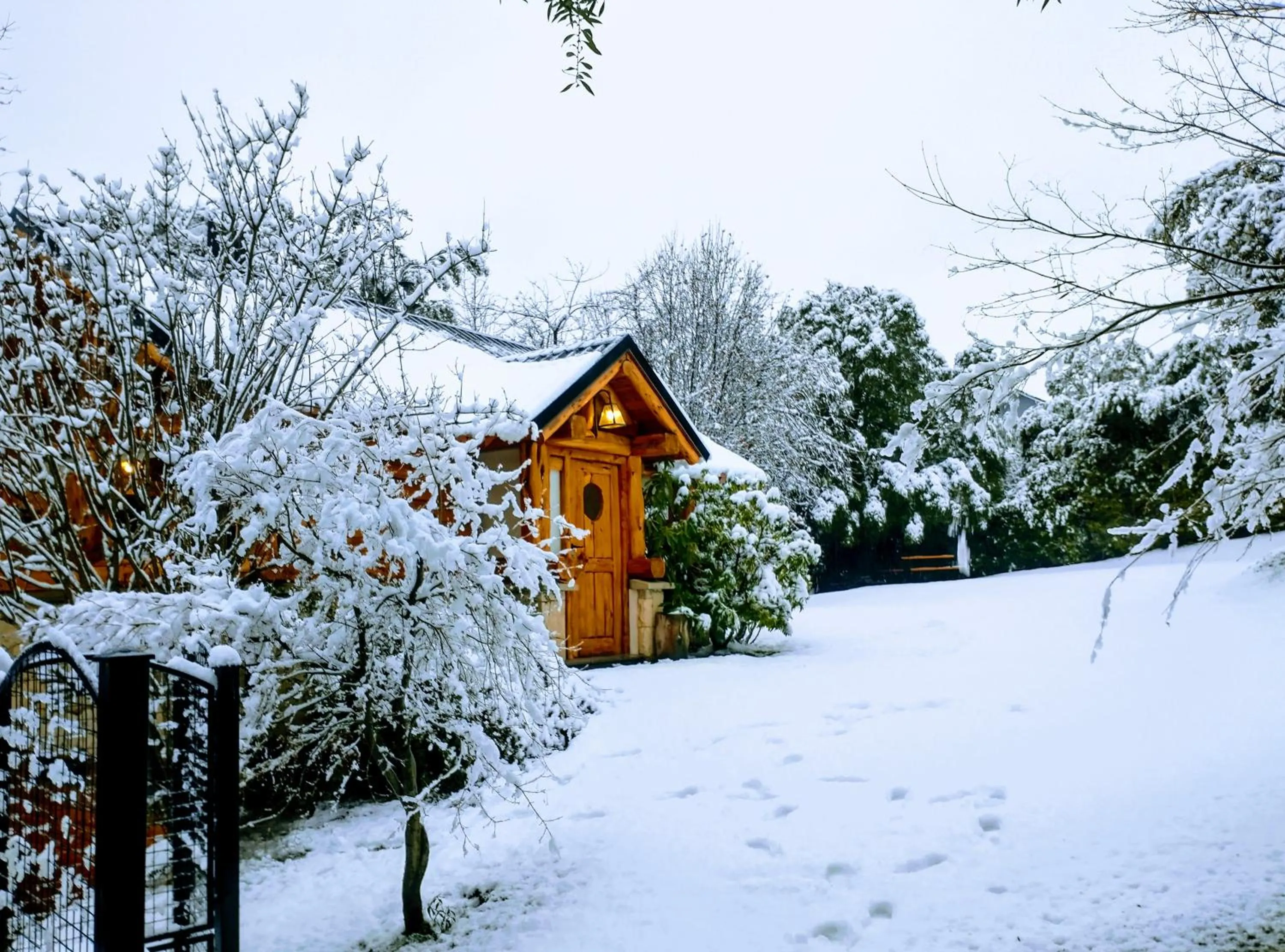 Blue Bird House