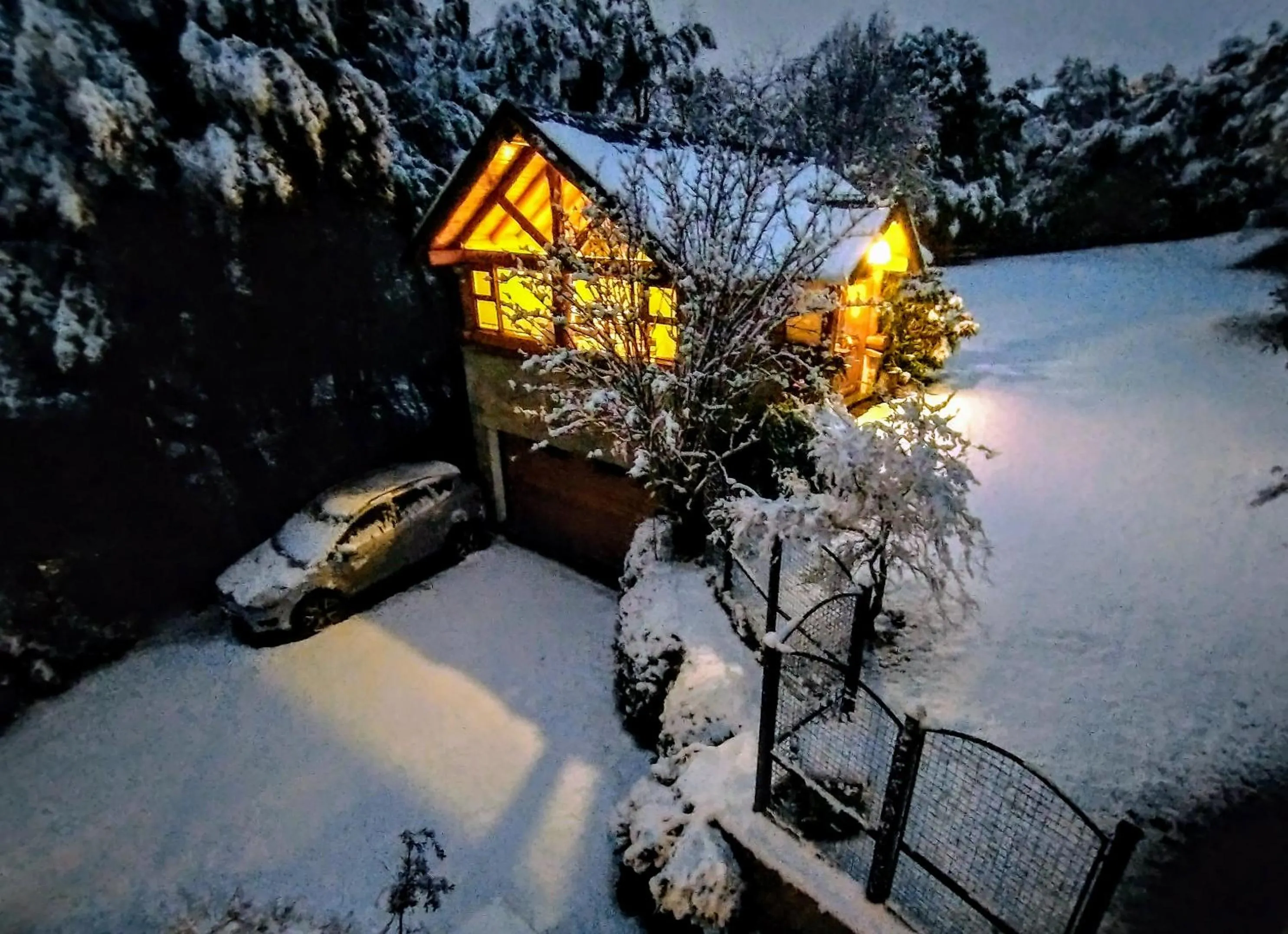 Blue Bird House
