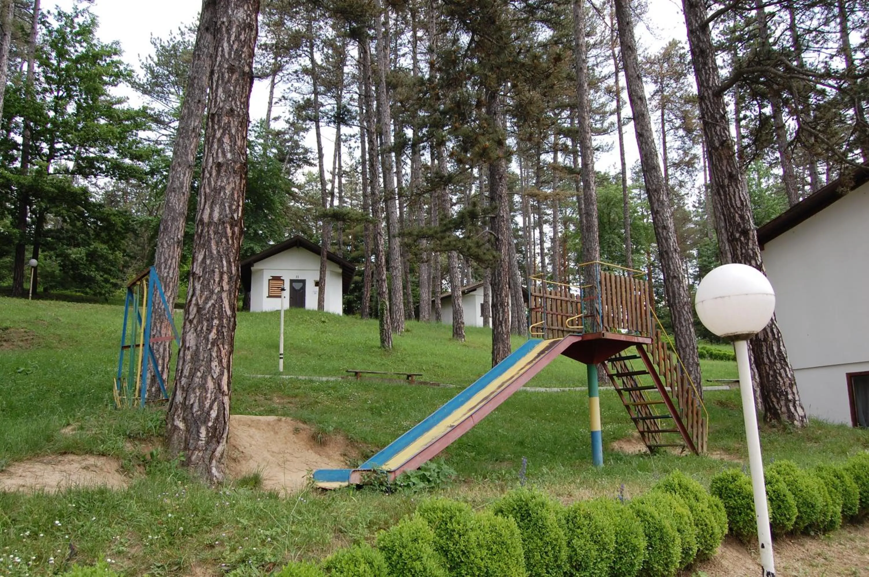 Spring in Complex Brashlyan