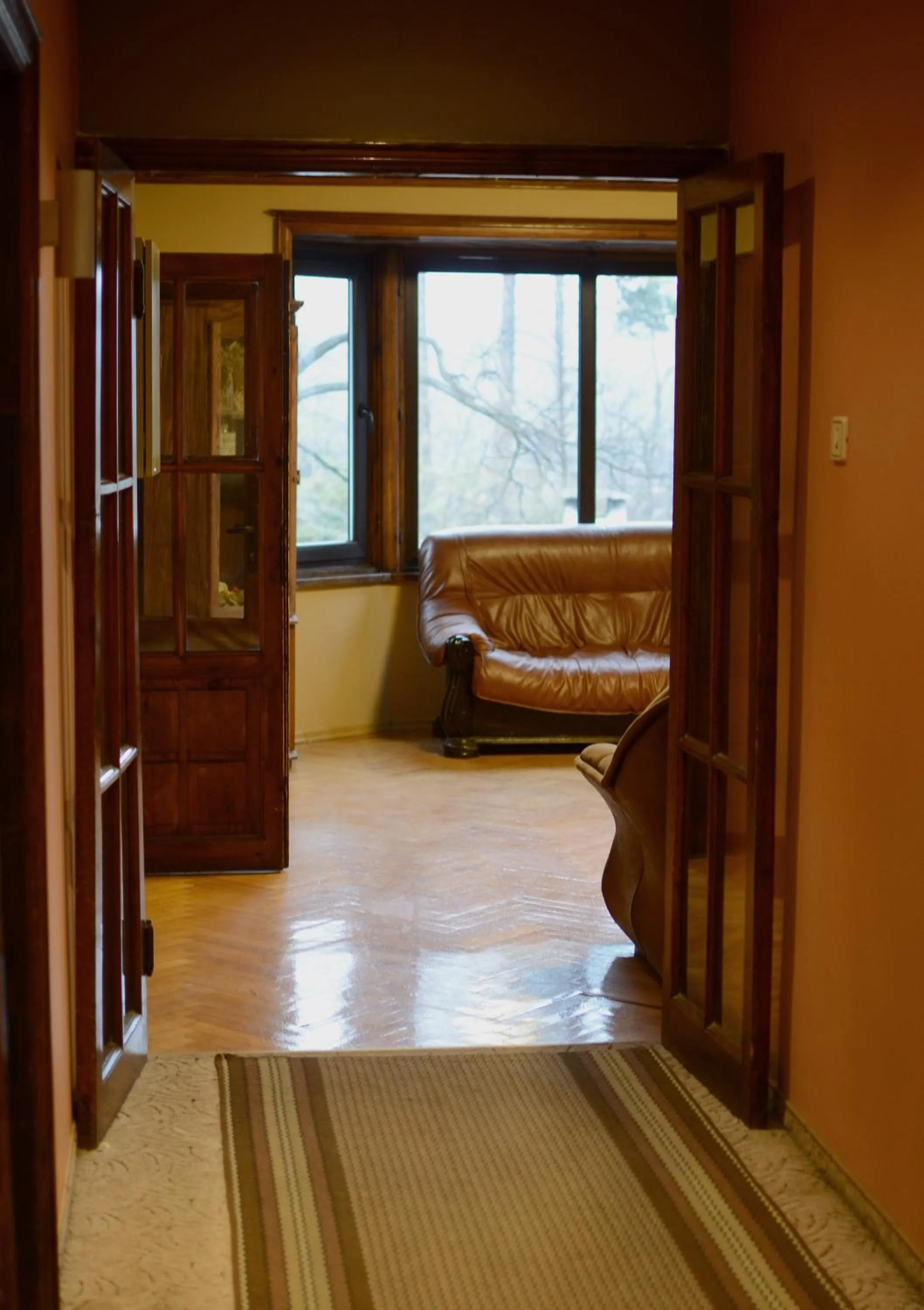 Other in Complex Brashlyan
