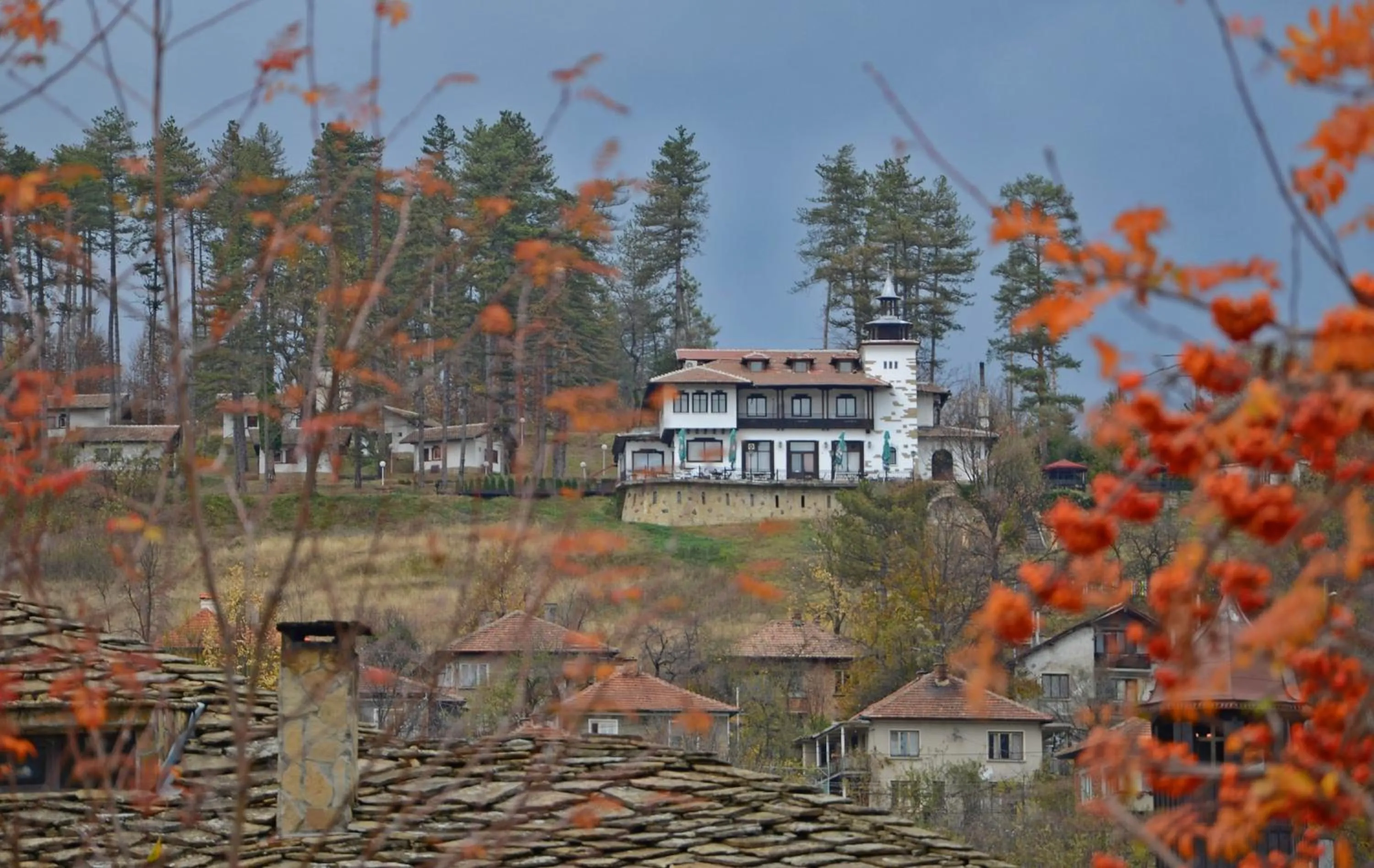 Property building in Complex Brashlyan