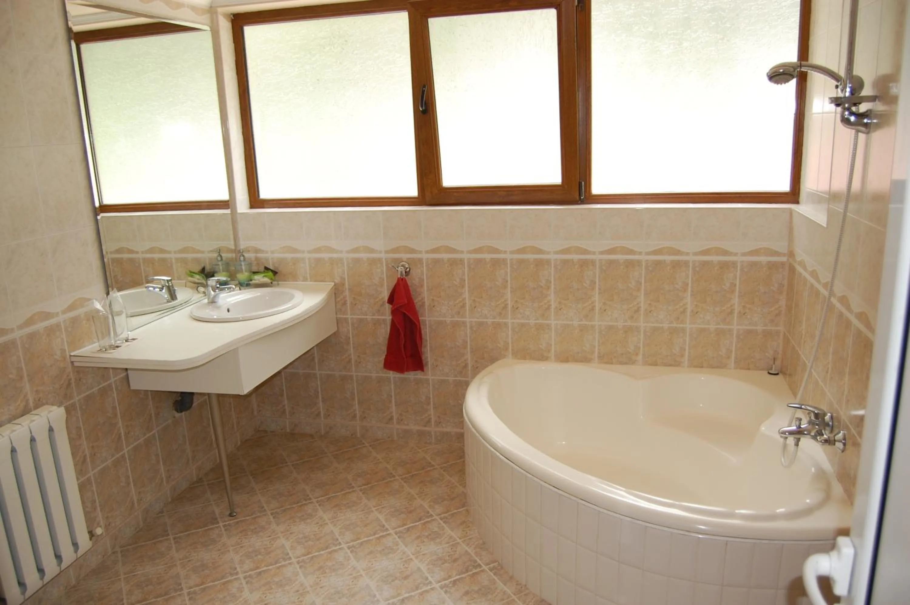 Shower in Complex Brashlyan