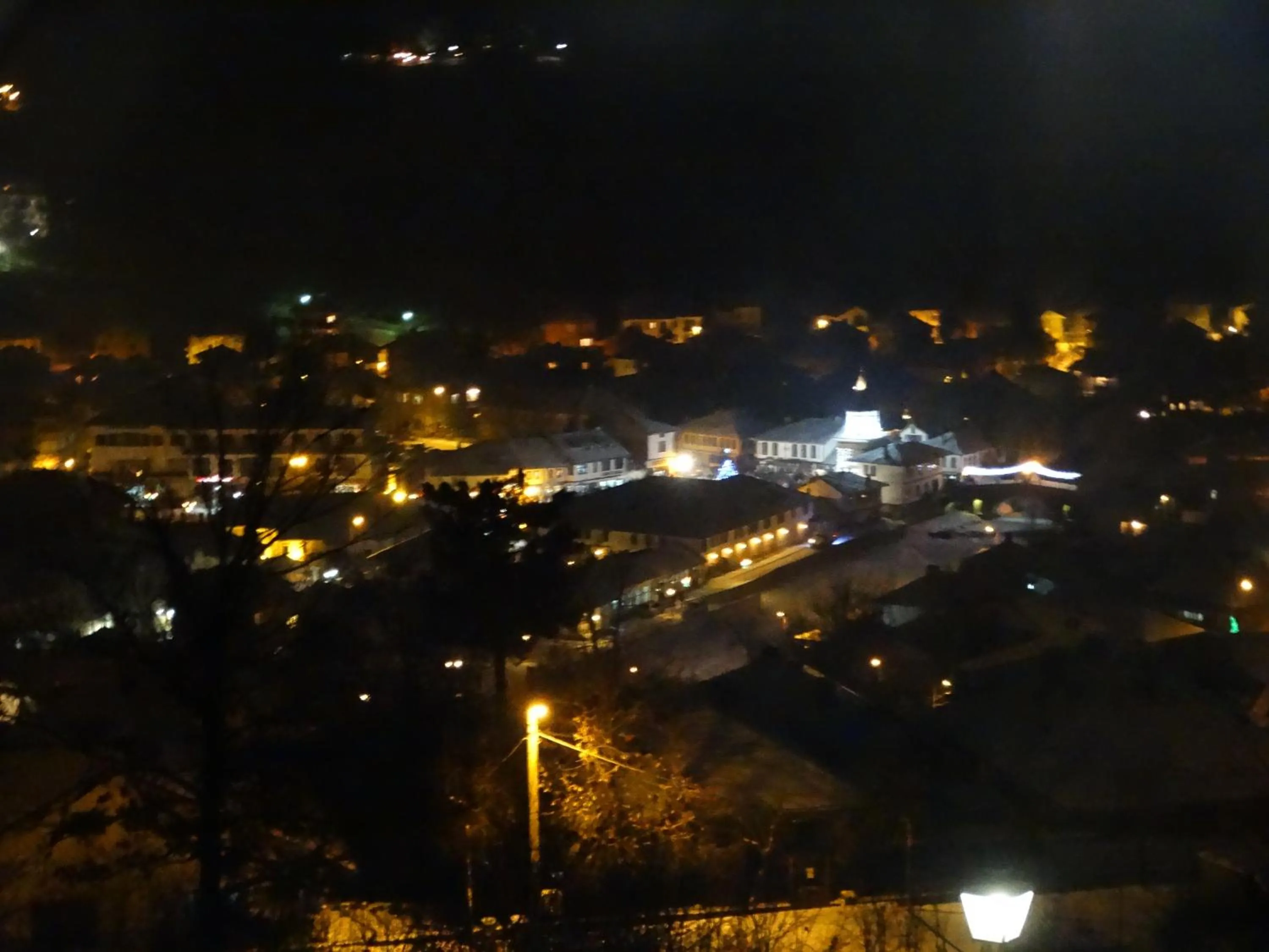 View (from property/room) in Complex Brashlyan