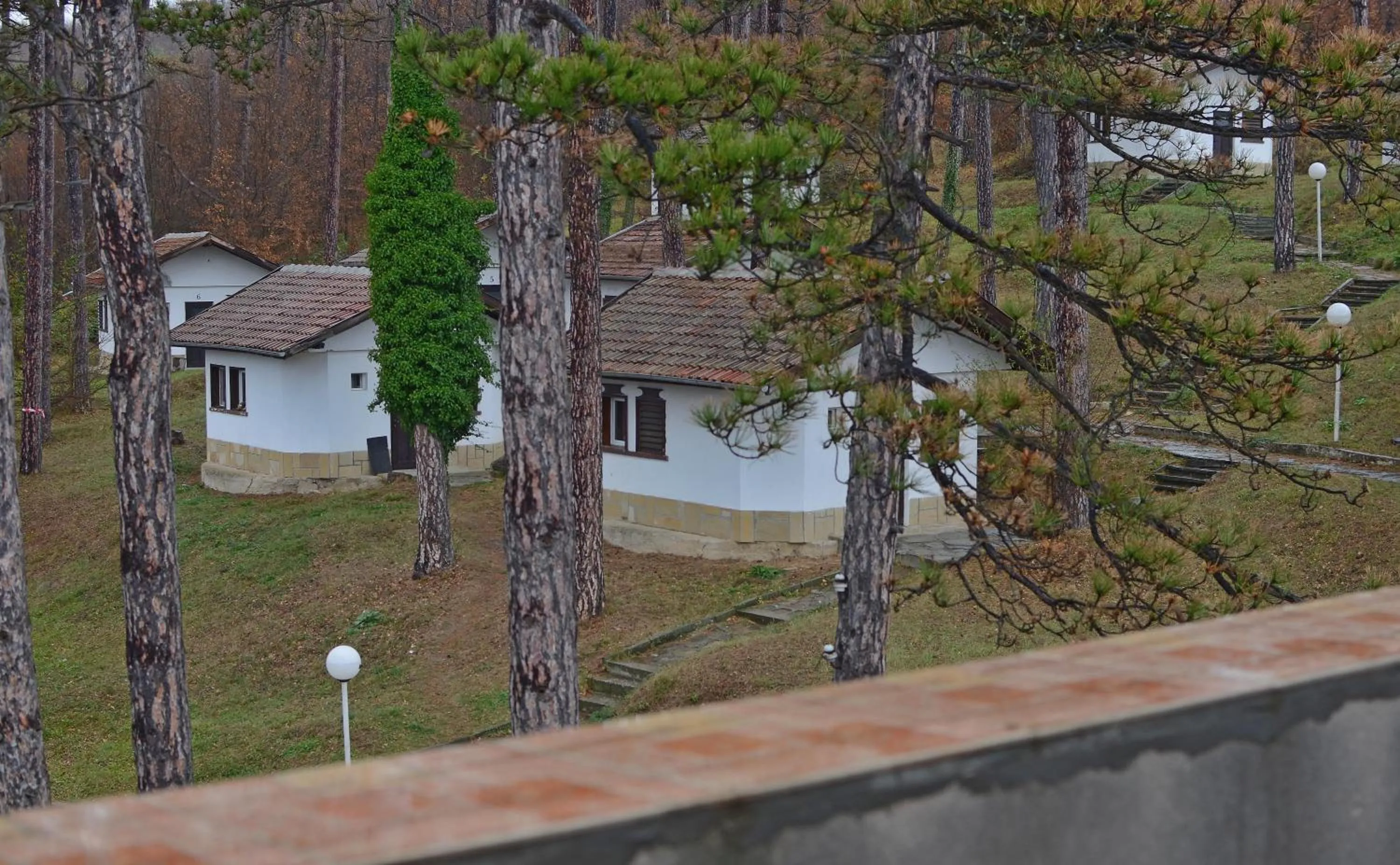 Day in Complex Brashlyan