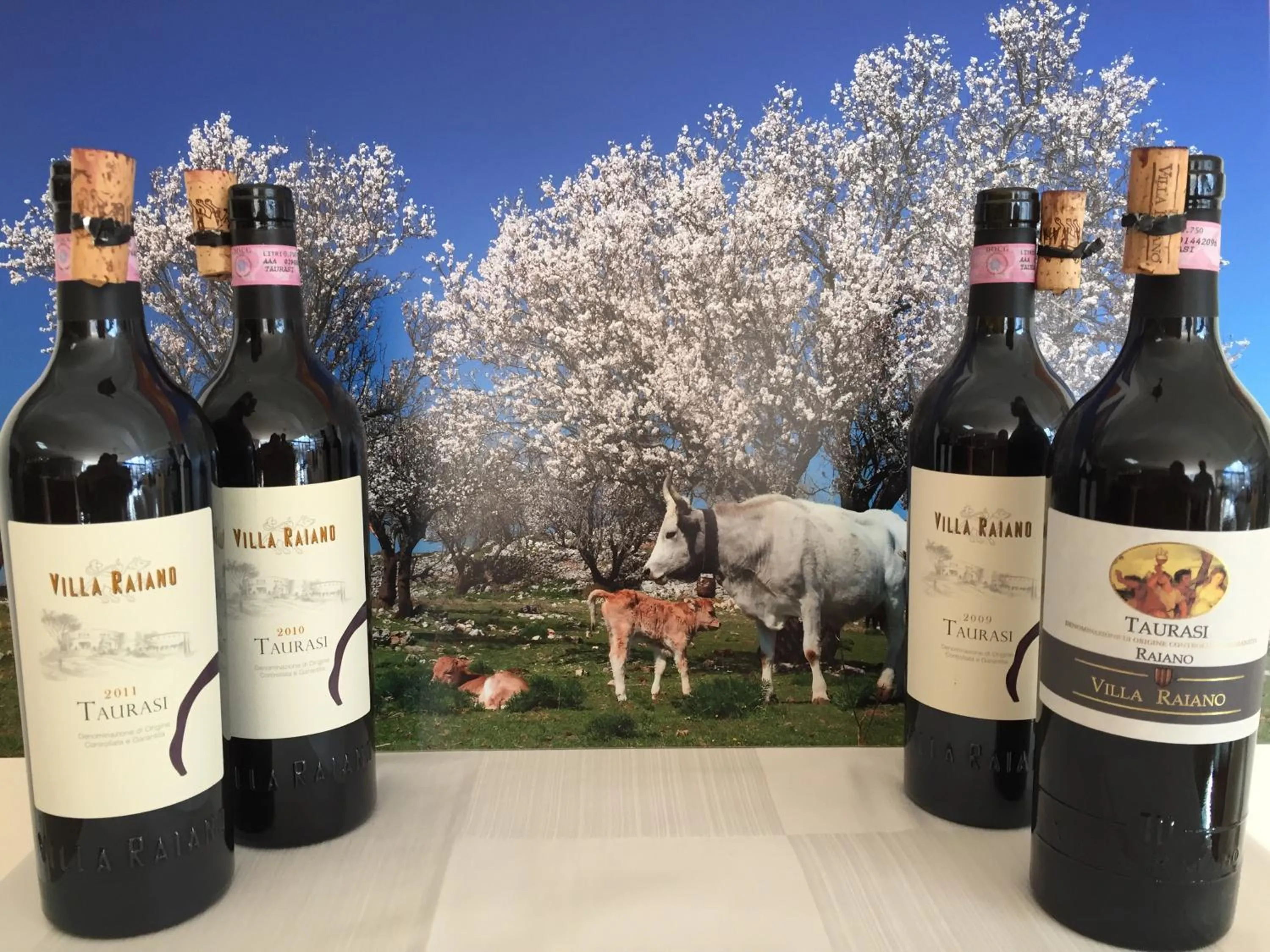 Lounge or bar in Hotel Corona