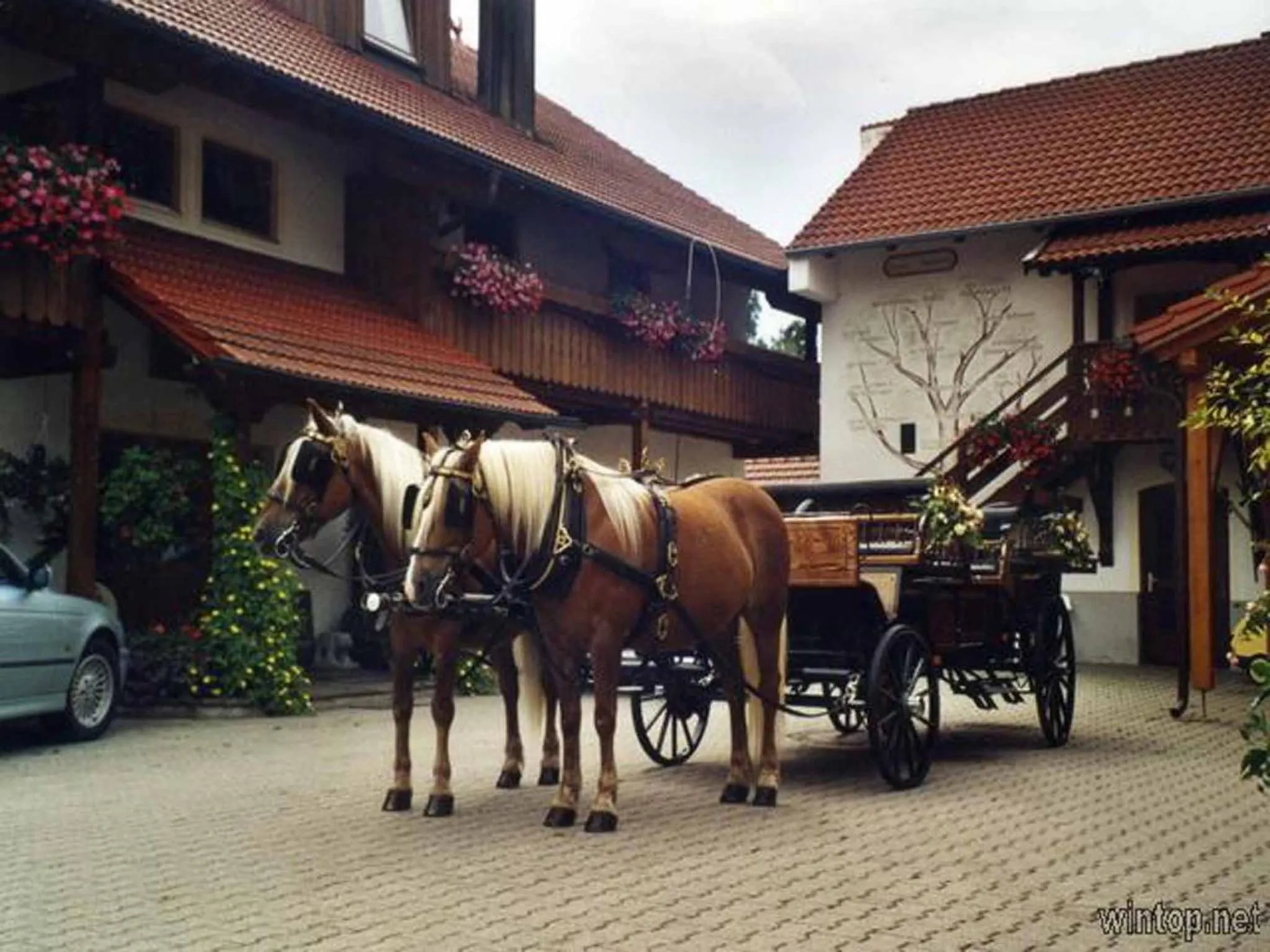 Appartementhaus "Haflinger Hof"