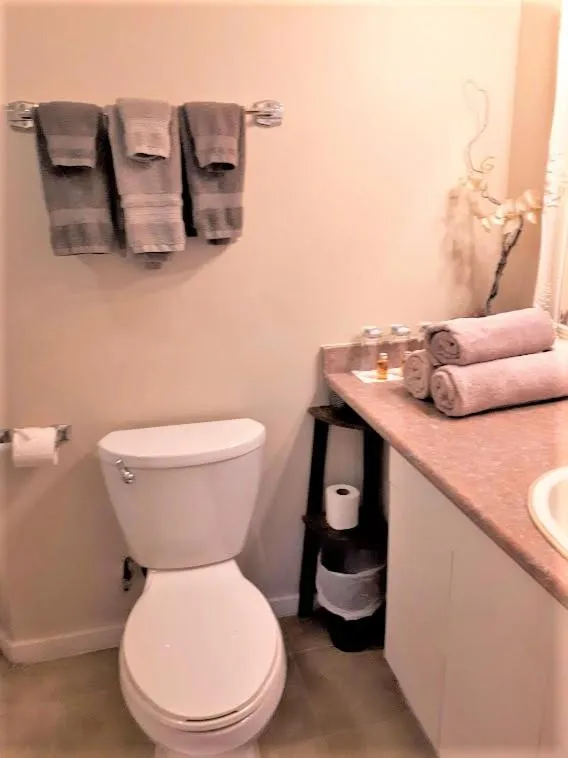 Toilet in Marketa's Bed and Breakfast