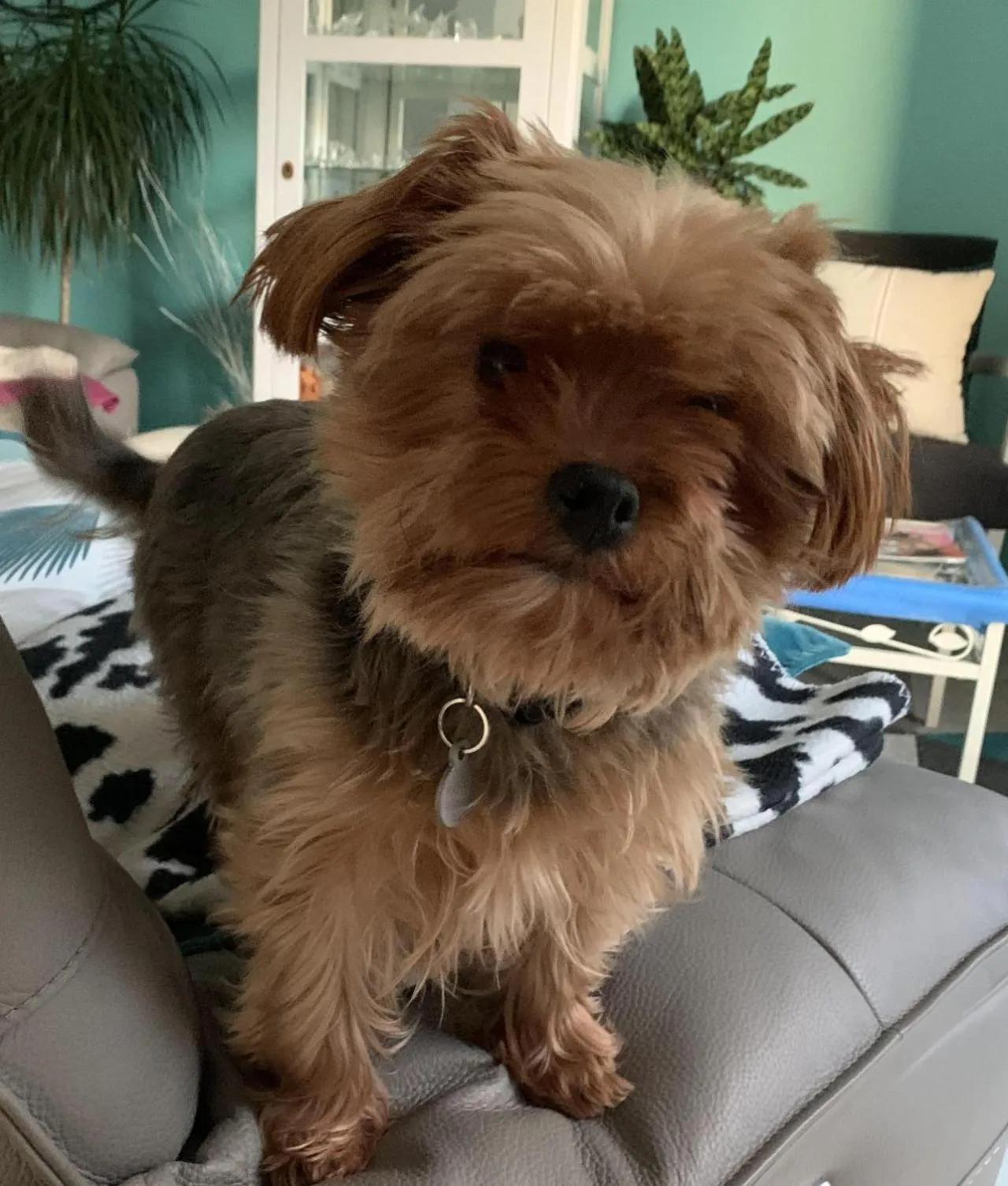 brest chambres d'hôtes