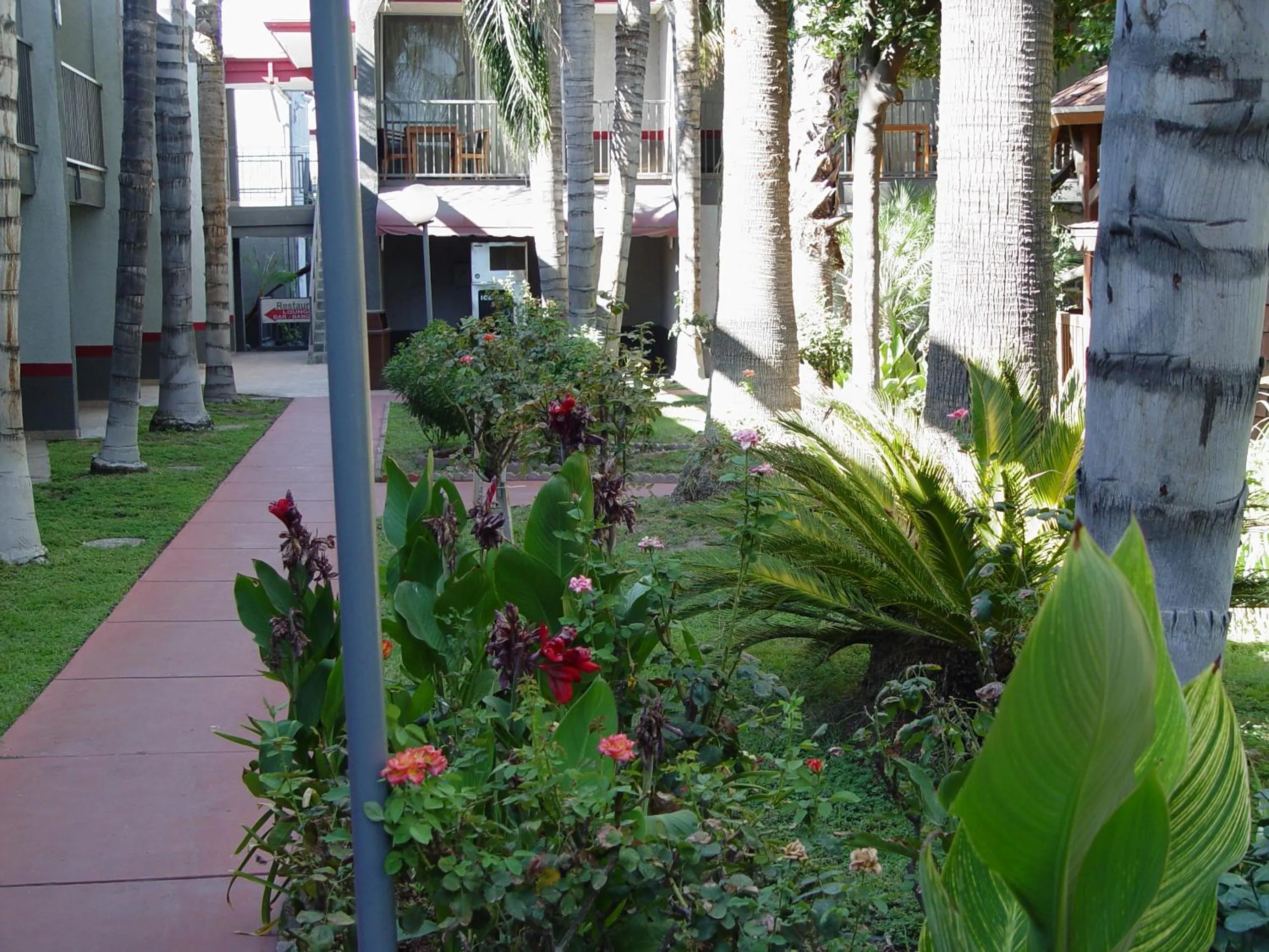 Garden in Clarion Hotel Bakersfield North