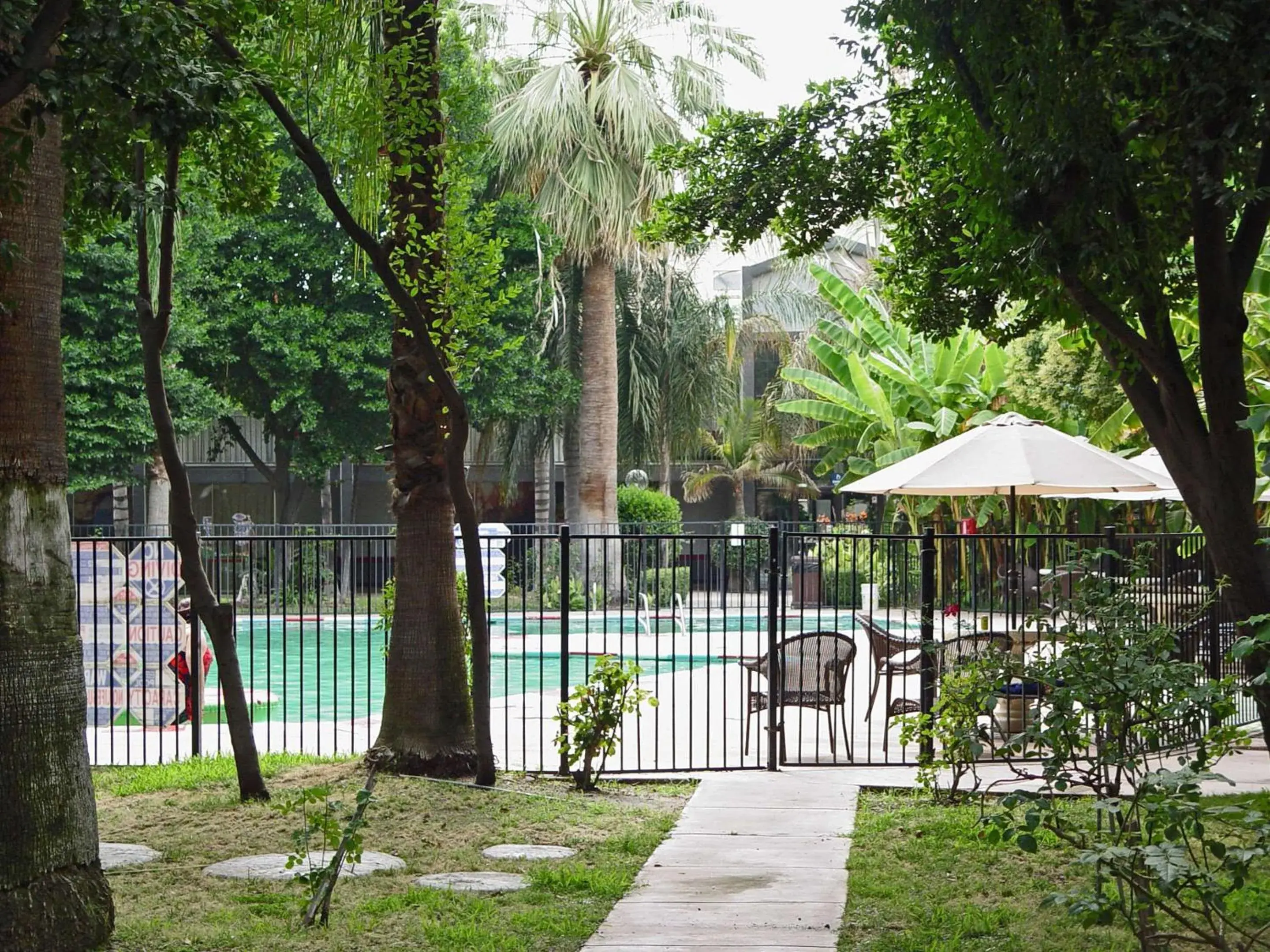 Swimming pool in Duniya Hotel Swimming pool in Duniya Hotel