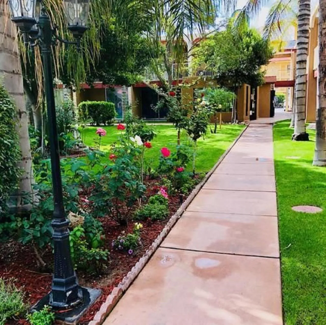 Garden view in Clarion Hotel Bakersfield North