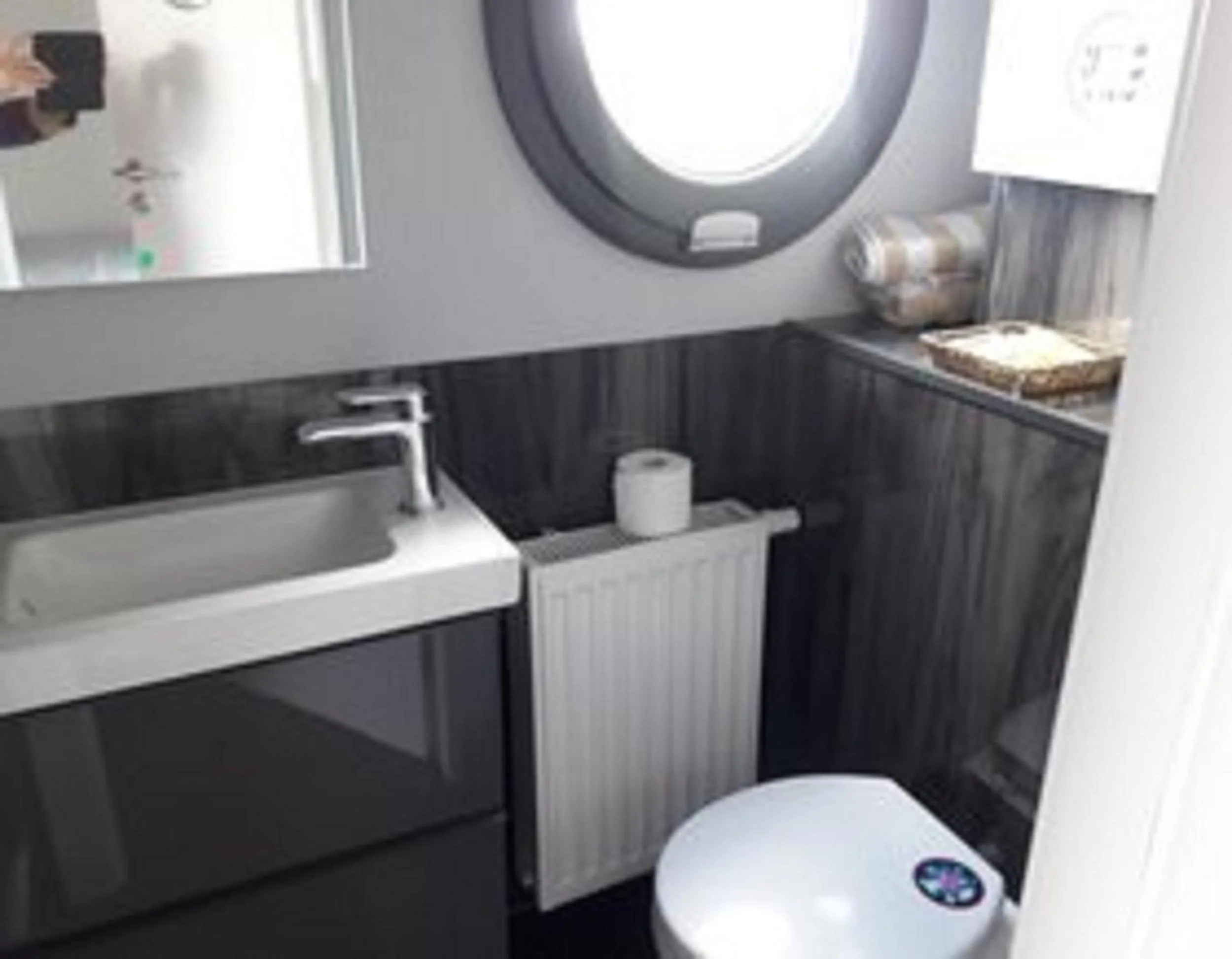 Bathroom in Tiny Hanzeboat