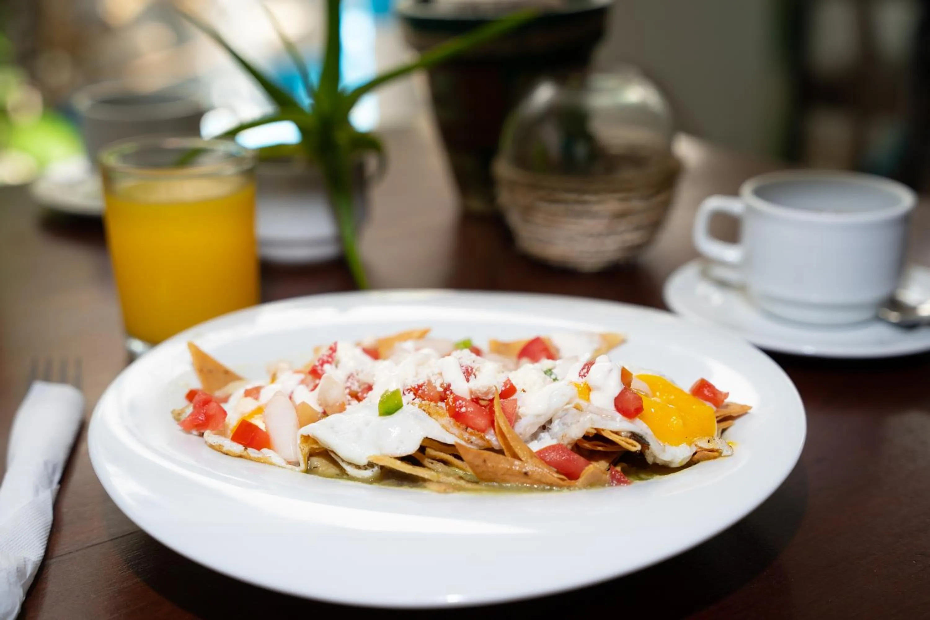 Restaurant/places to eat in Hotel Museo Matan Kaan Mahahual