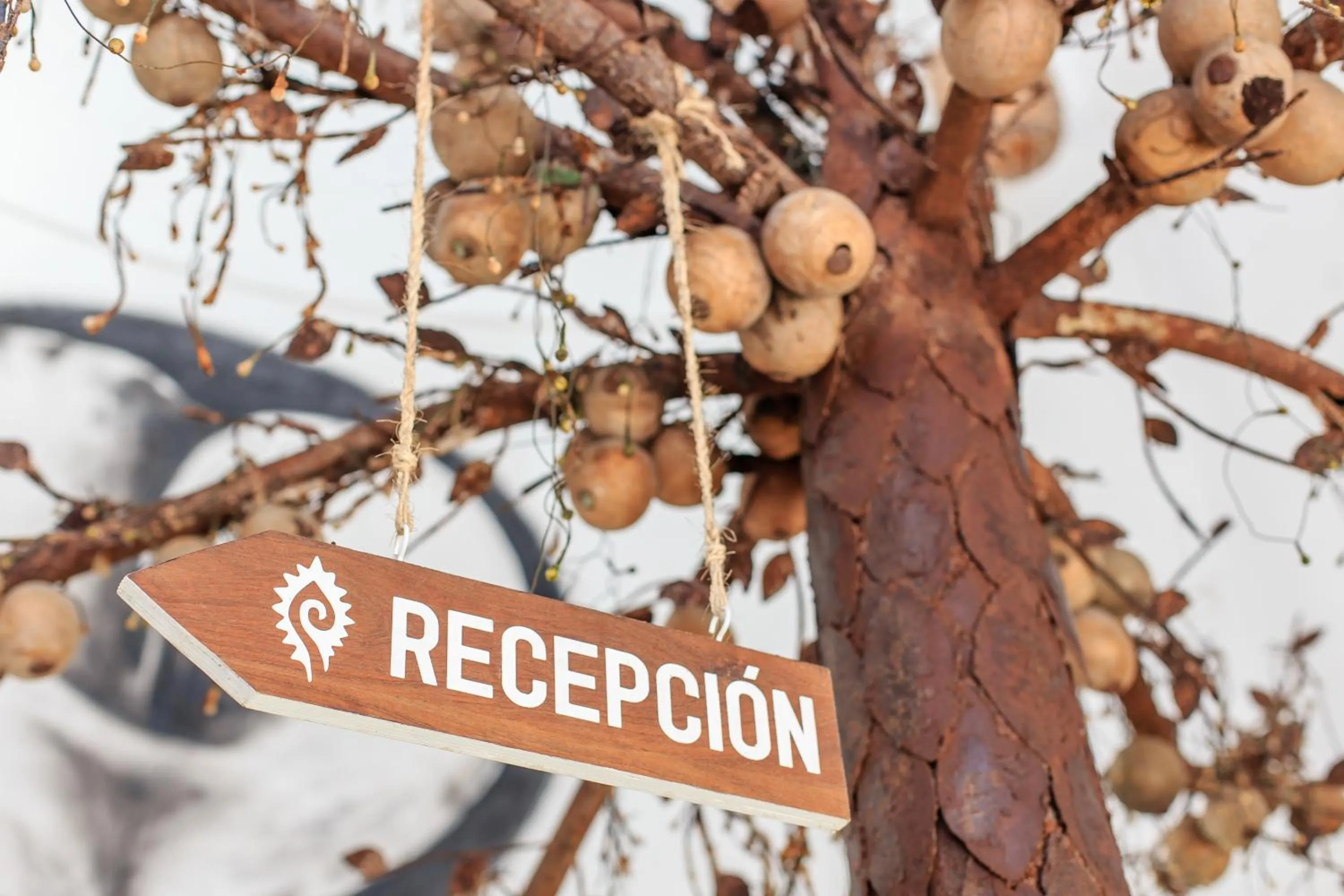 Property logo or sign in Hotel Museo Matan Kaan Mahahual