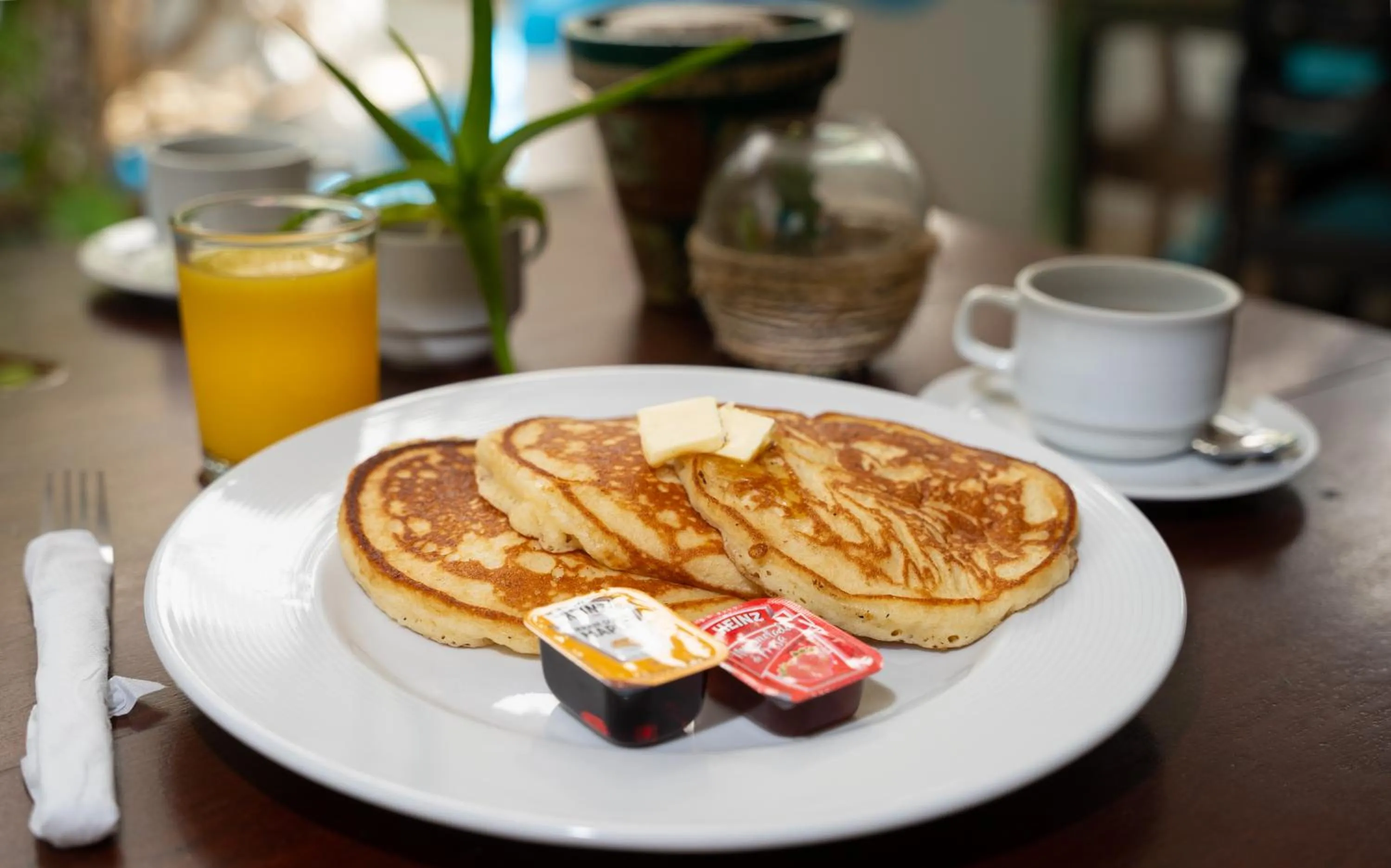 Restaurant/places to eat in Hotel Museo Matan Kaan Mahahual