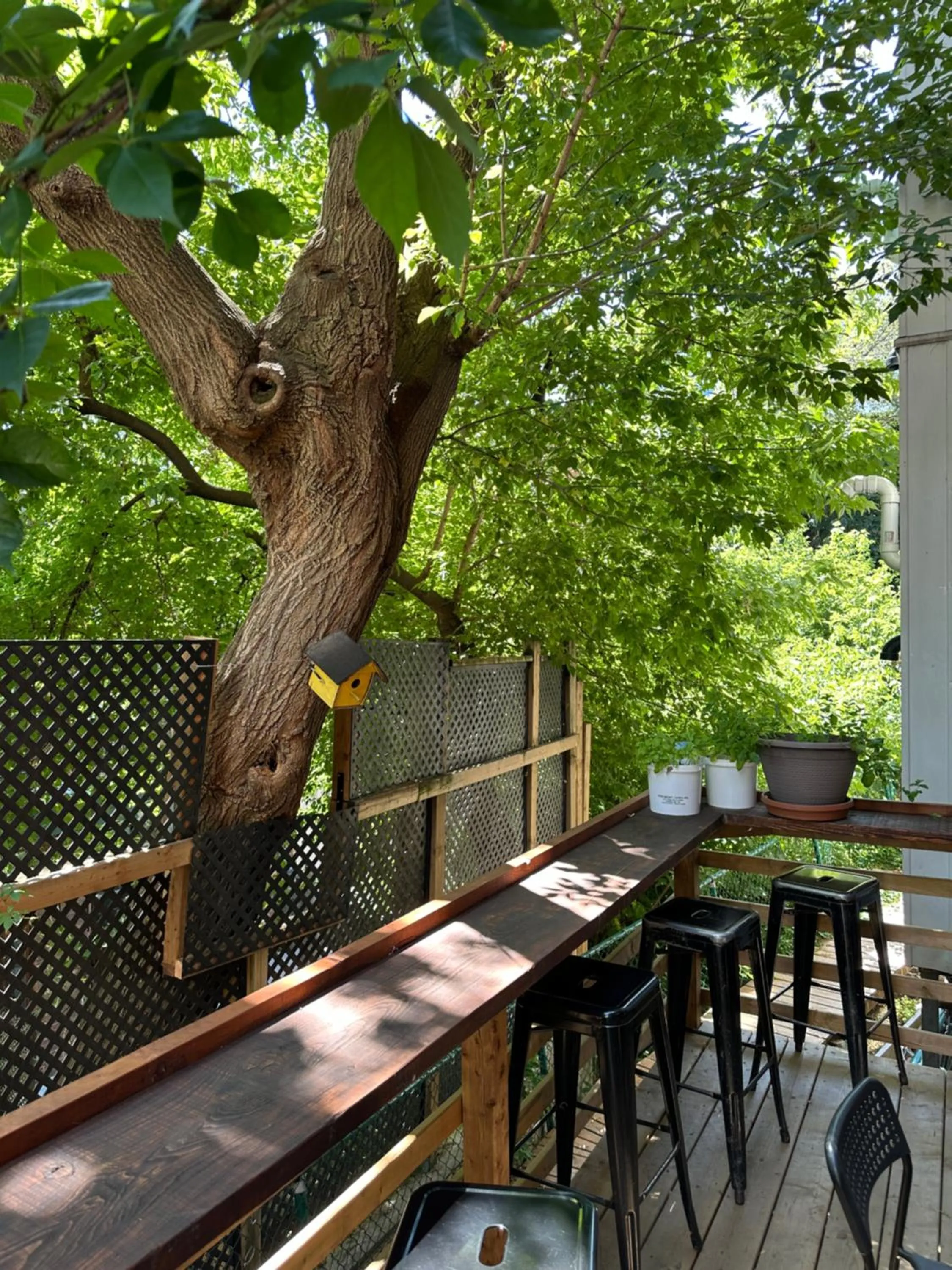 Patio in Auberge Saintlo Montréal Hostel