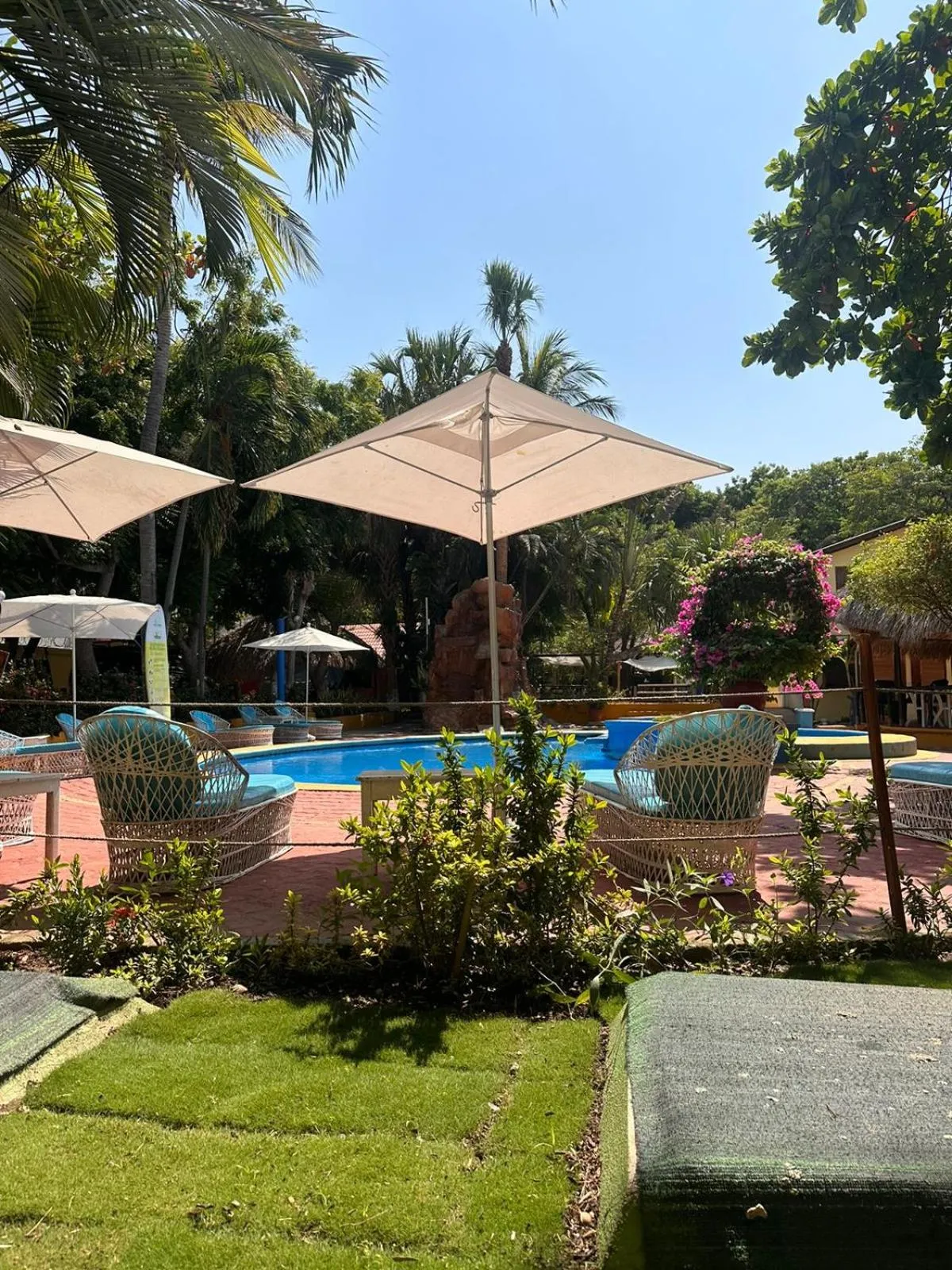 Garden in Hotel Bungalows Acuario