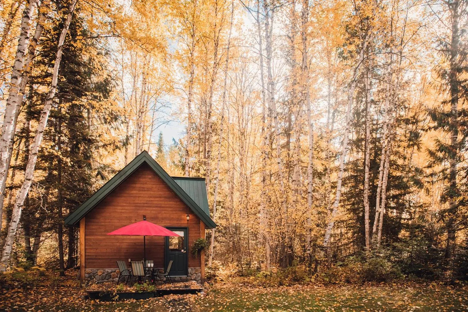 Natural landscape in Across the Creek Cabins