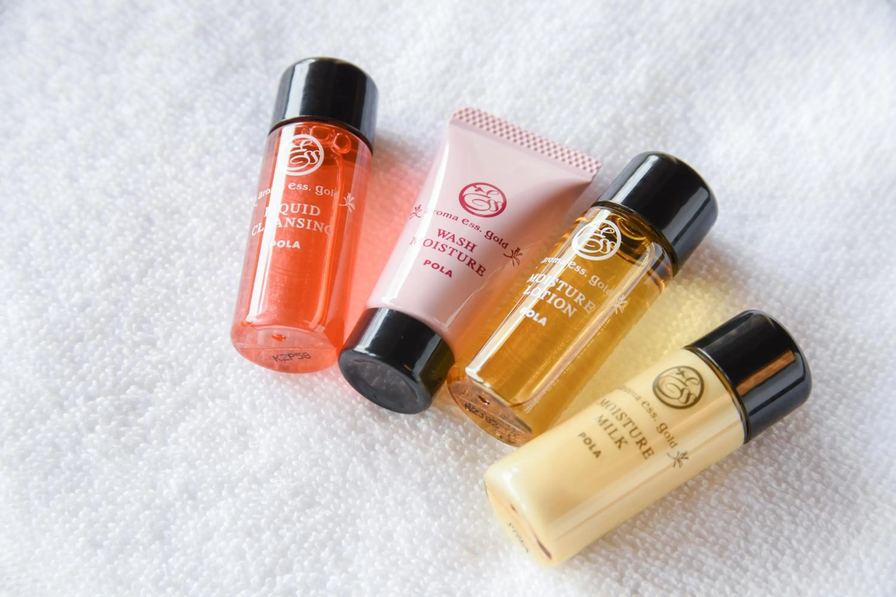 Other in Furuya Ryokan