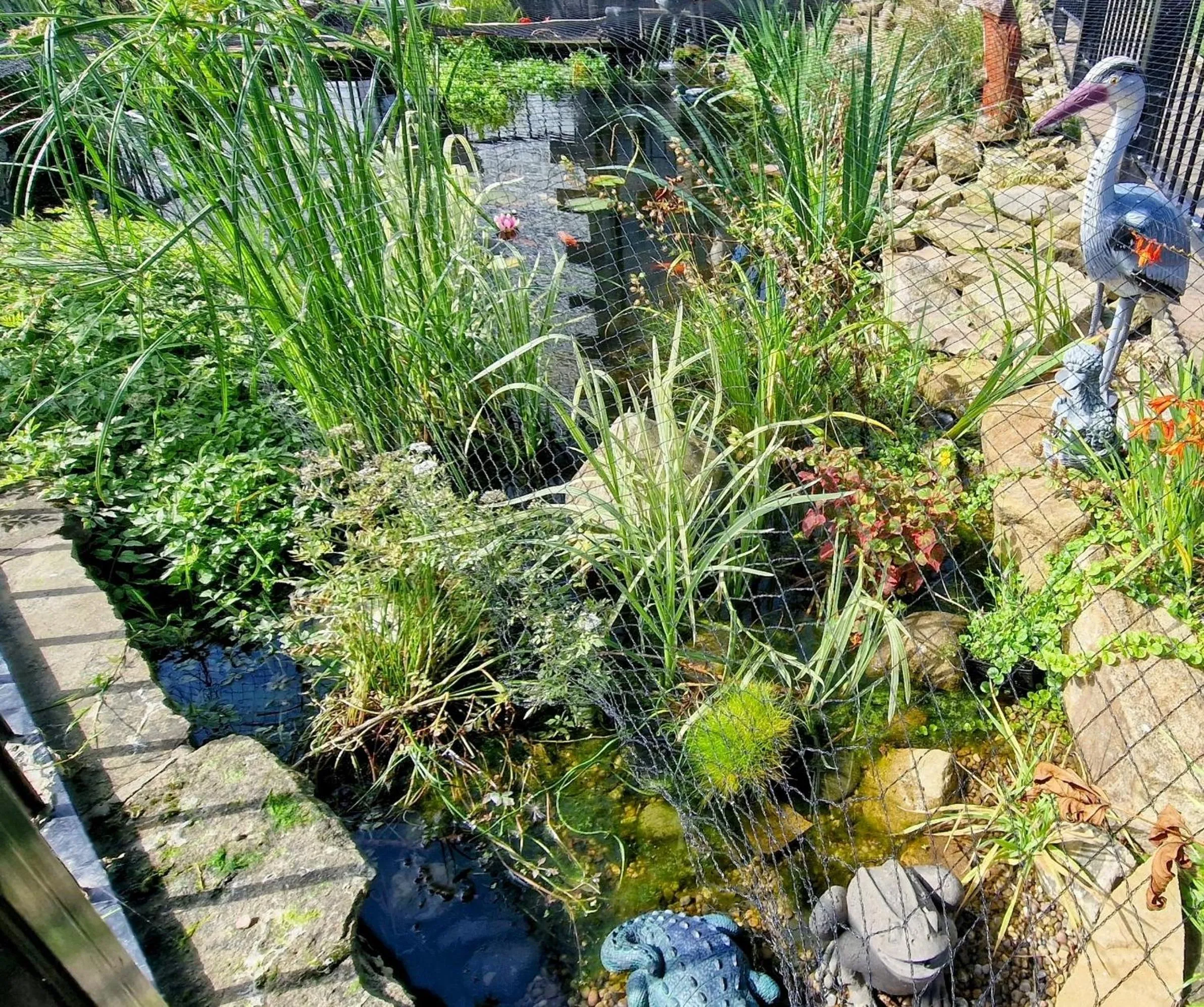 Garden in The Little Mill Inn