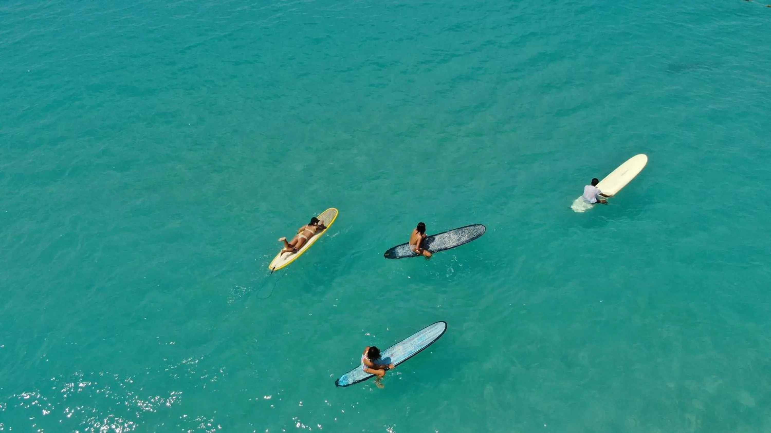 Activities in Le Méridien Shimei Bay Beach Resort & Spa