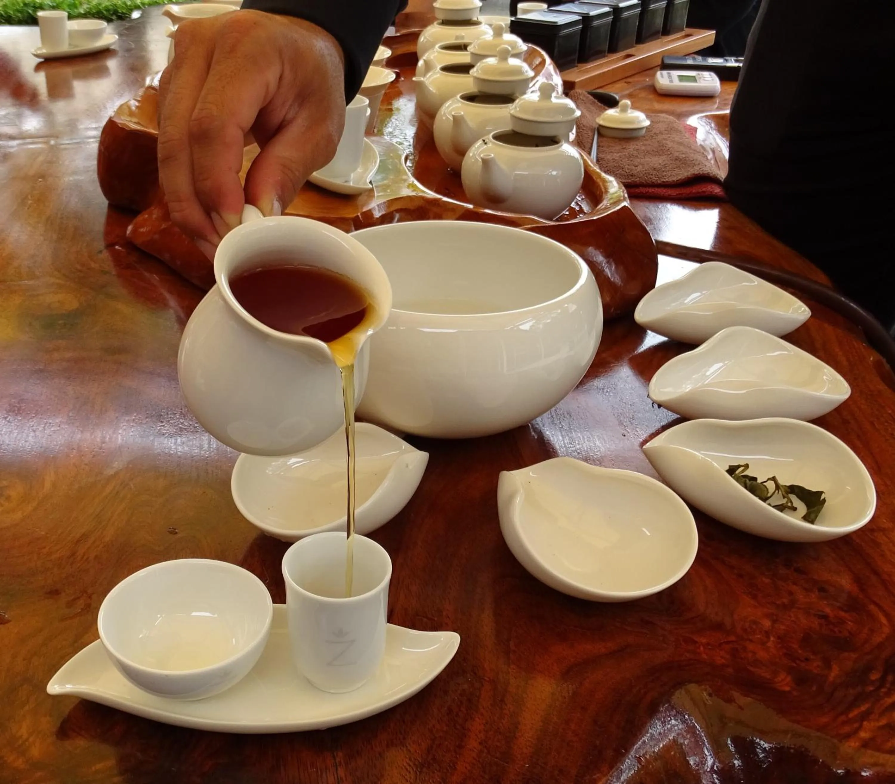 Restaurant/places to eat in Argent Motor Lodge