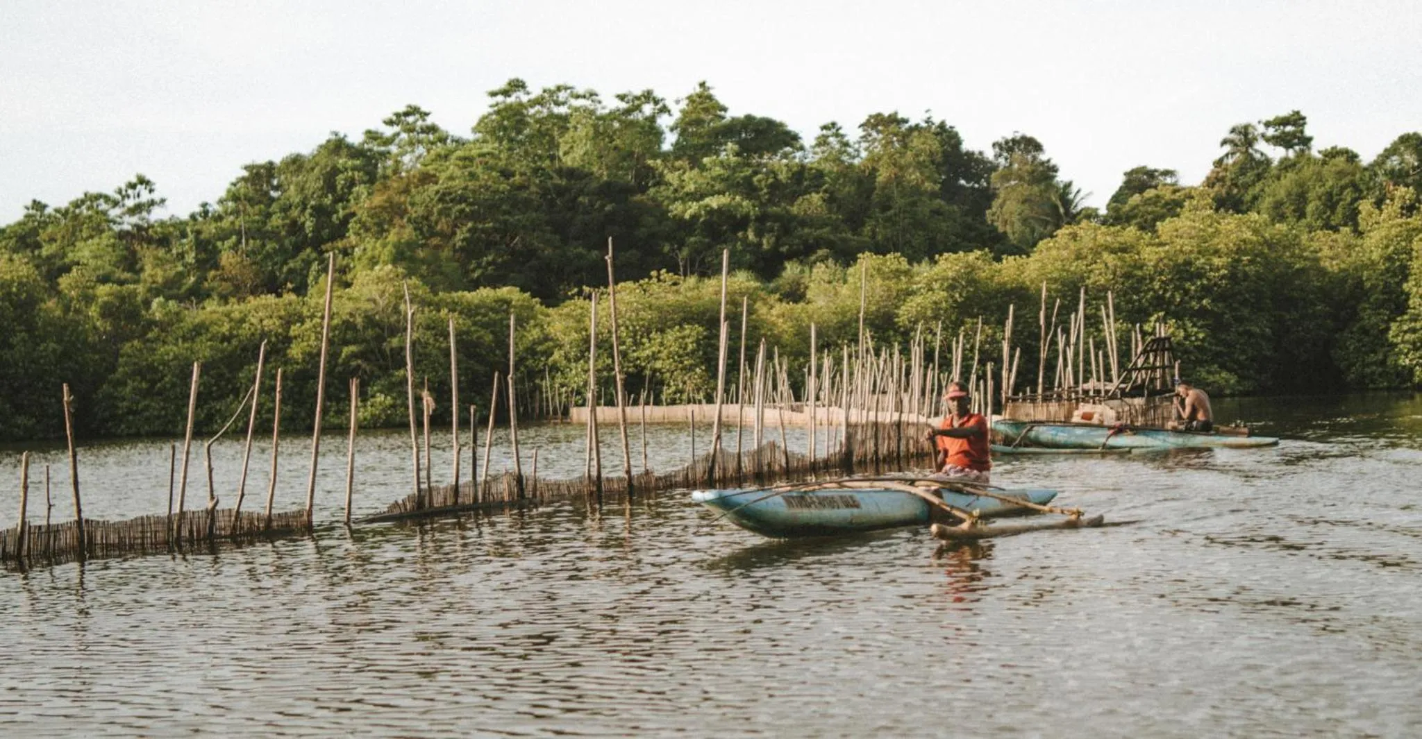 Natural landscape in Villa Balapitiya Beach