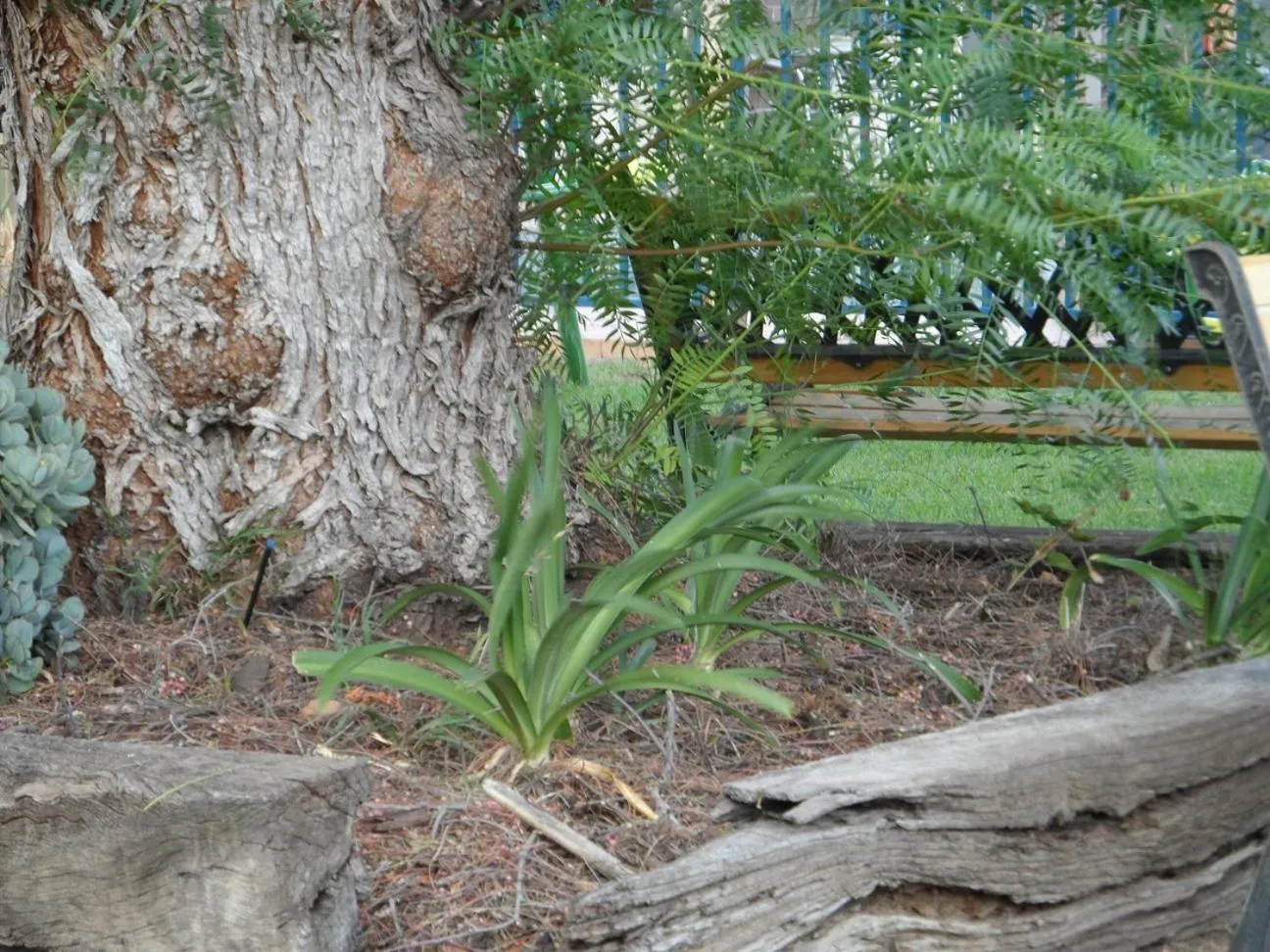 Other in Bidgee Motor Inn