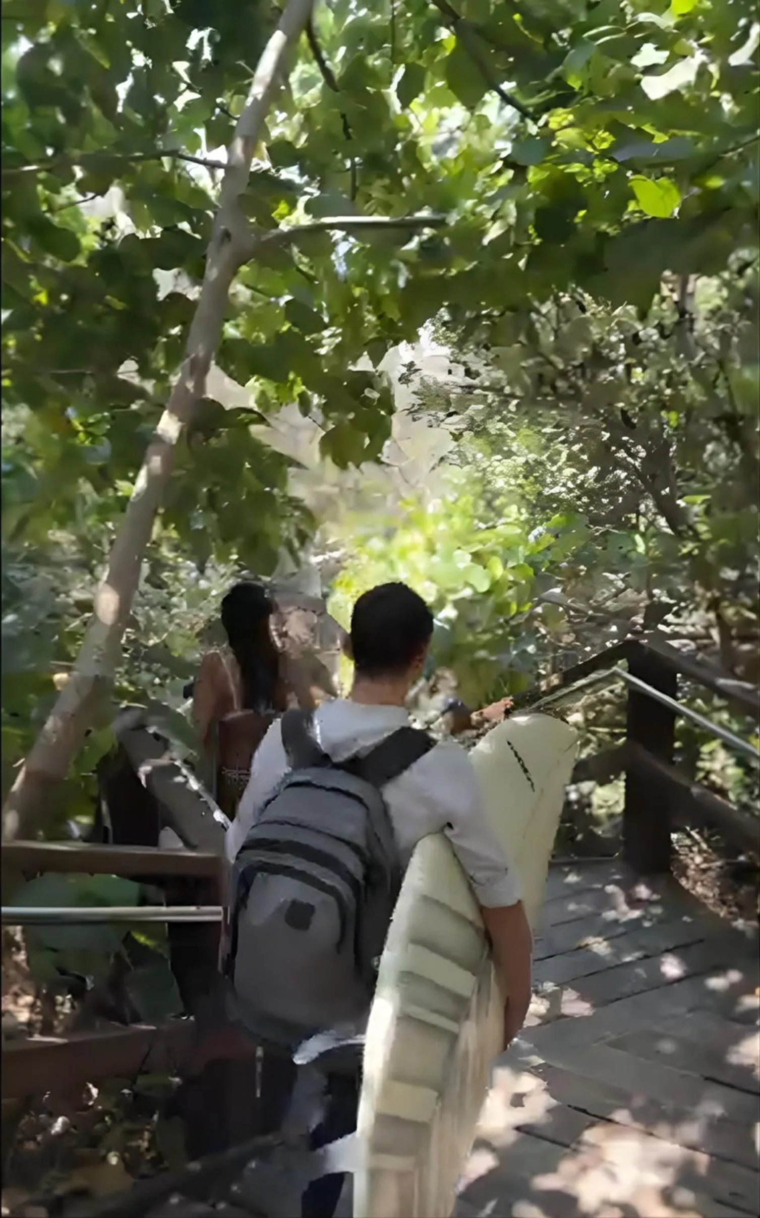 Natural landscape in La Mer Sunshine Beachfront