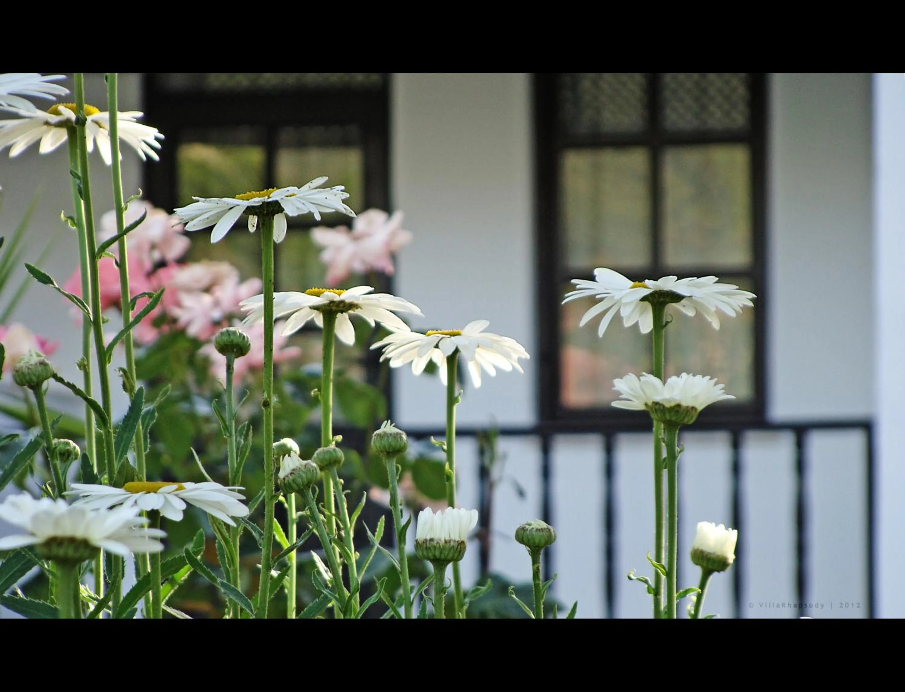 Villa Rhapsody Pension