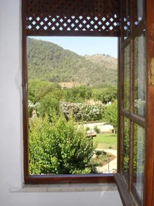 Garden view in Villa Rhapsody Pension