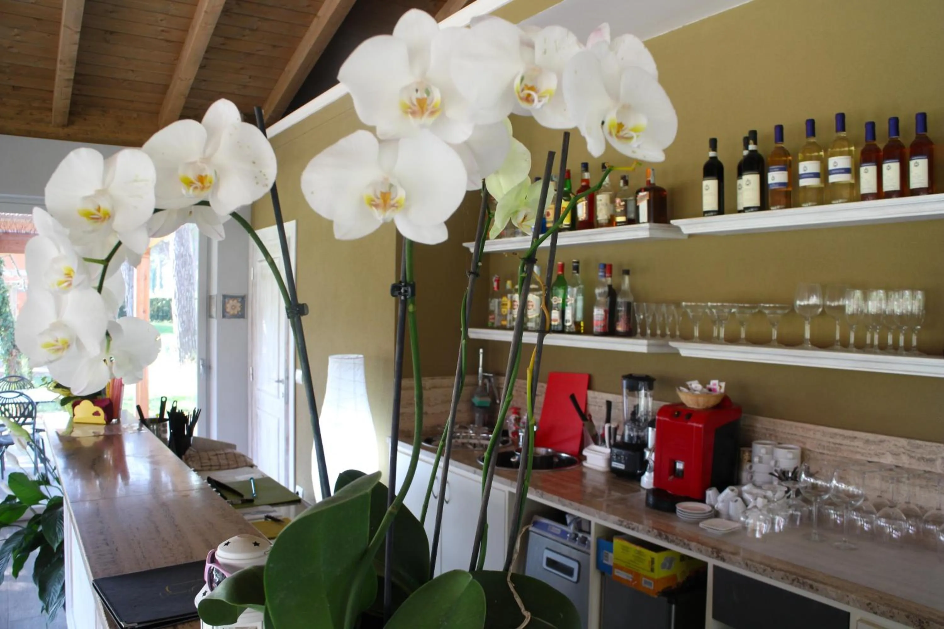 Lounge or bar in La Fattoria di Tirrenia