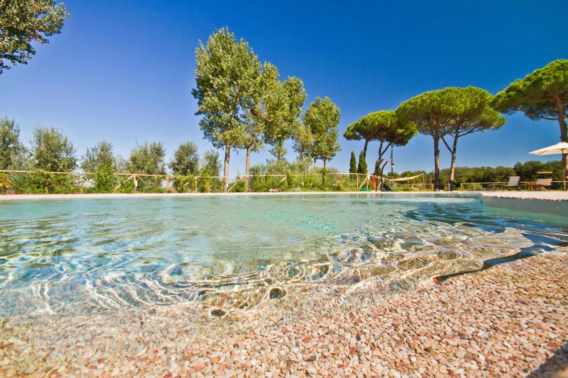 Swimming pool in La Fattoria di Tirrenia