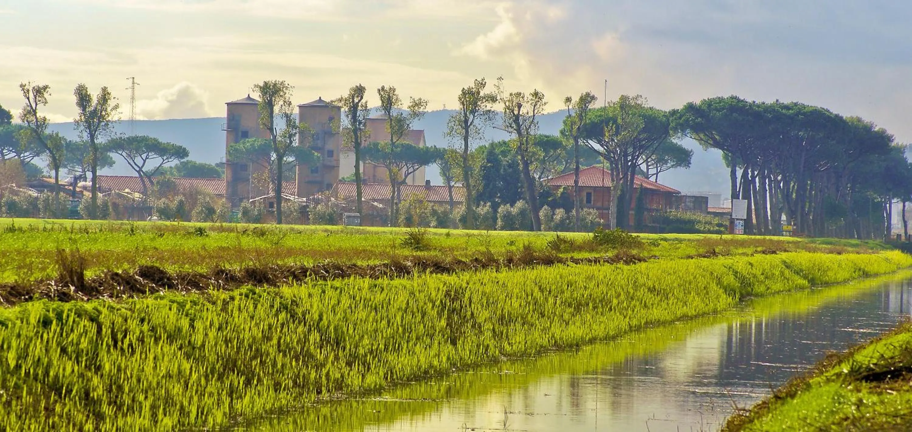 Natural landscape in La Fattoria di Tirrenia