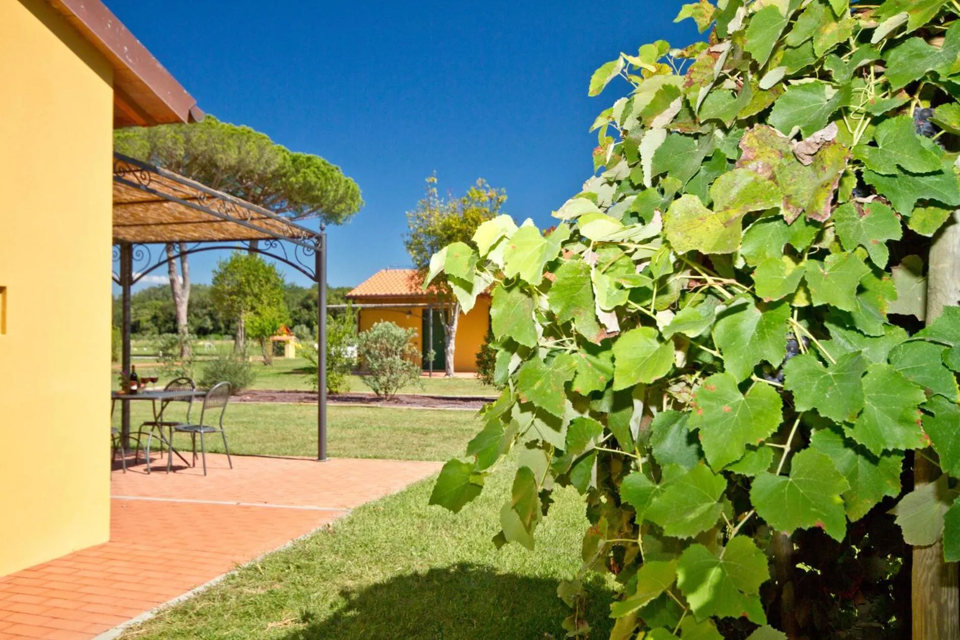 Garden view in La Fattoria di Tirrenia