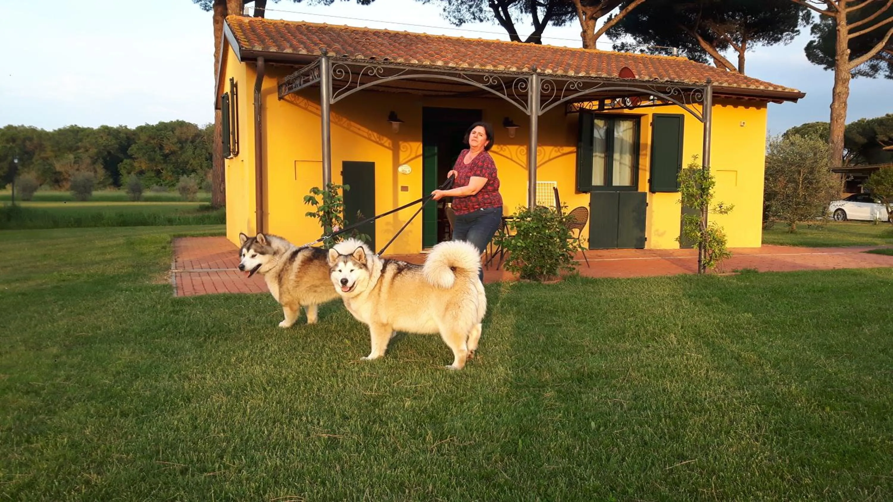 Pets in La Fattoria di Tirrenia